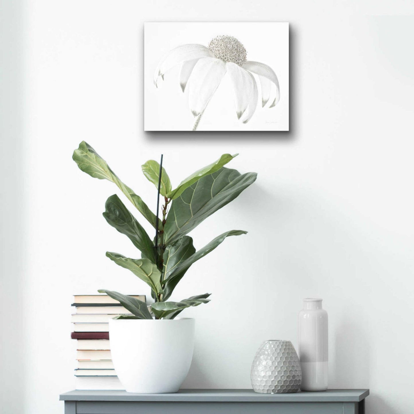 Epic Art 'Flannel Flower Neutral' by Elise Catterall, Acrylic Glass Wall Art,16x12