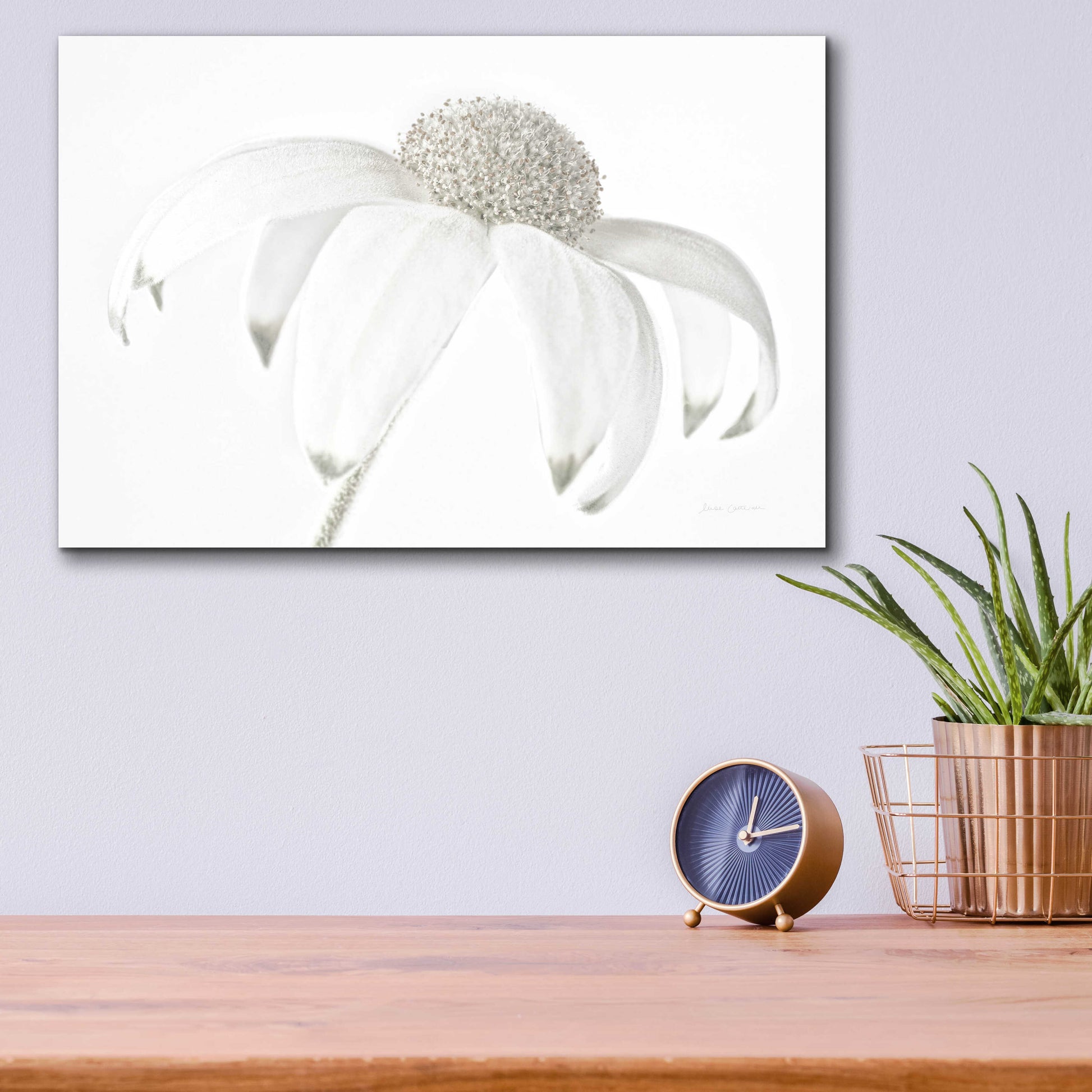 Epic Art 'Flannel Flower Neutral' by Elise Catterall, Acrylic Glass Wall Art,16x12