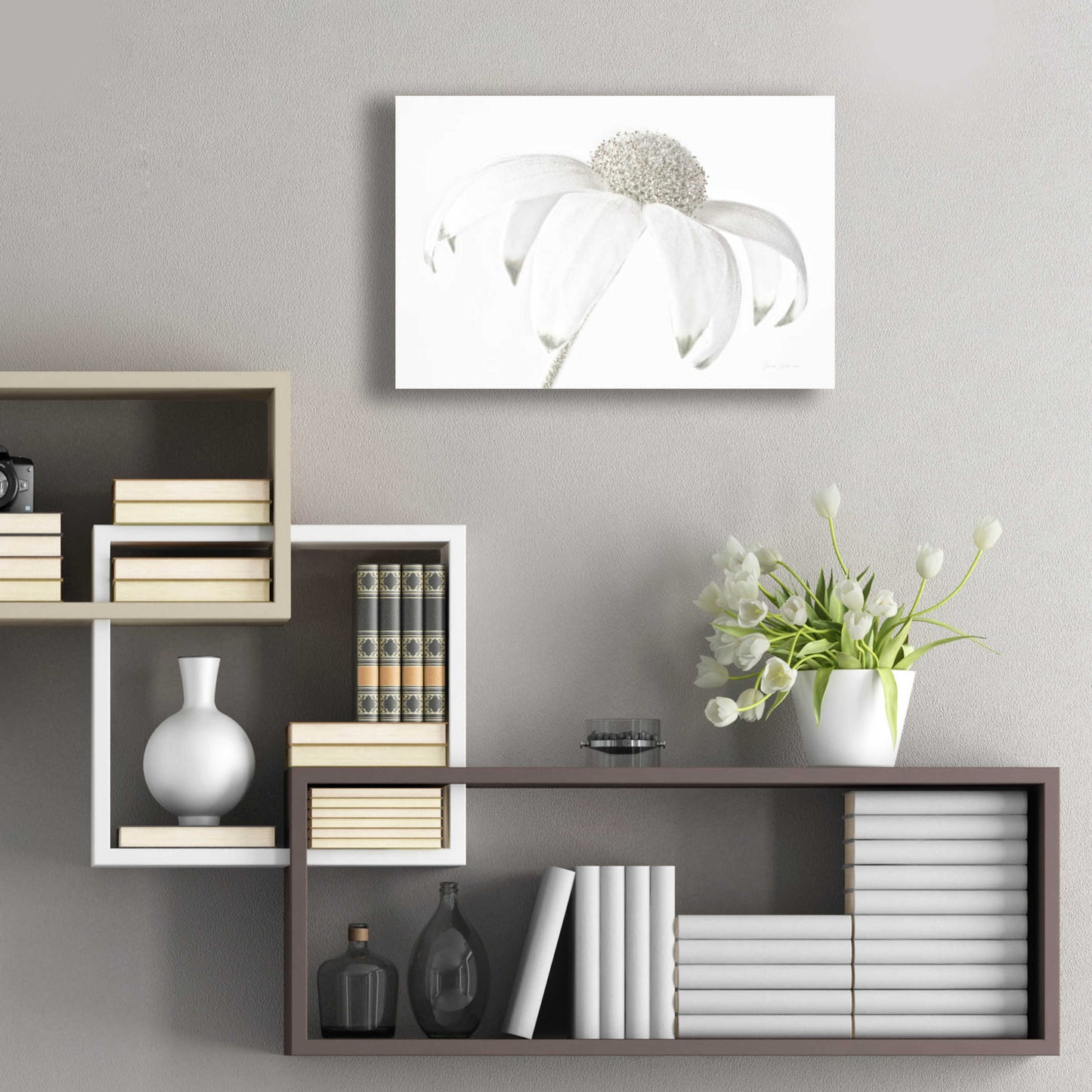 Epic Art 'Flannel Flower Neutral' by Elise Catterall, Acrylic Glass Wall Art,24x16