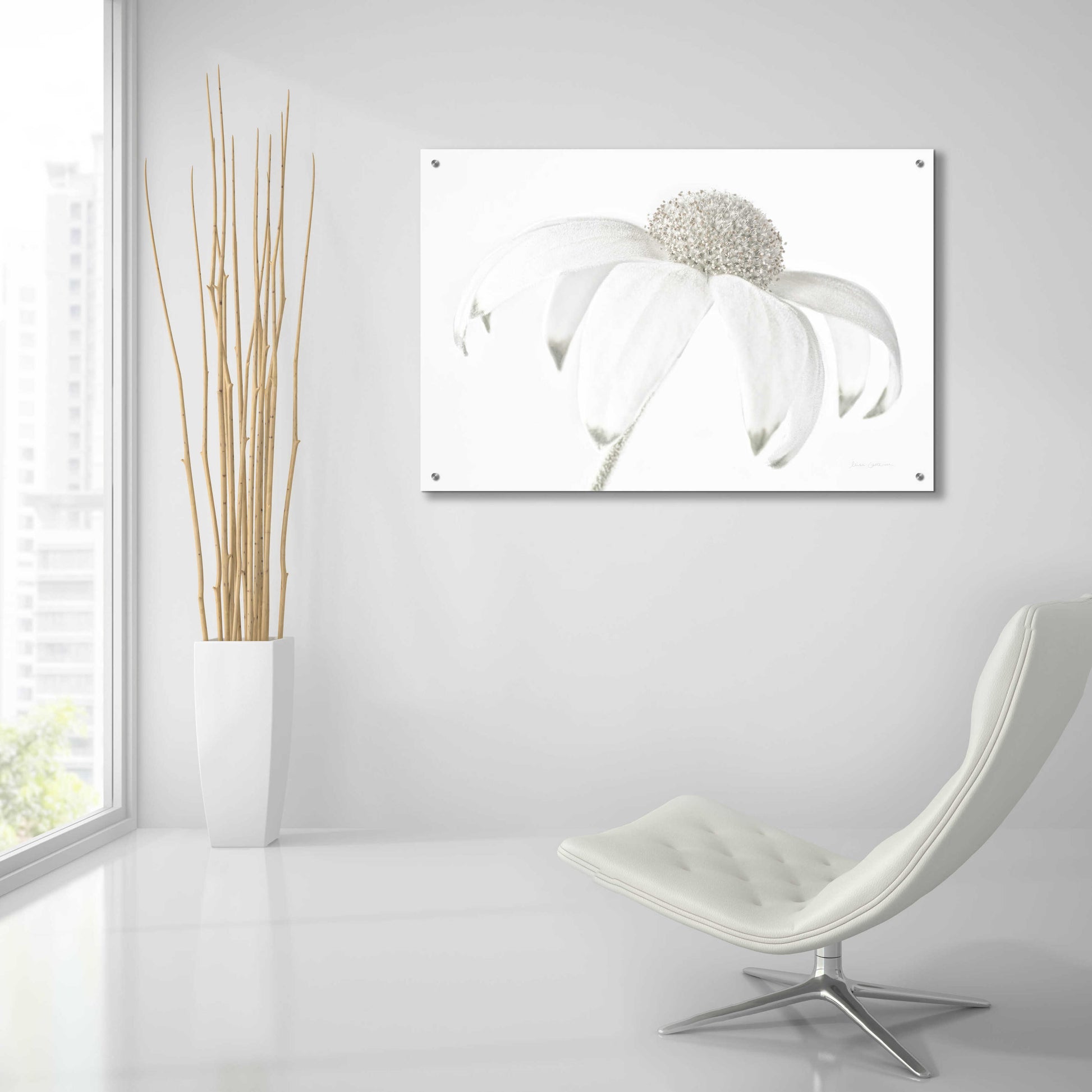 Epic Art 'Flannel Flower Neutral' by Elise Catterall, Acrylic Glass Wall Art,36x24