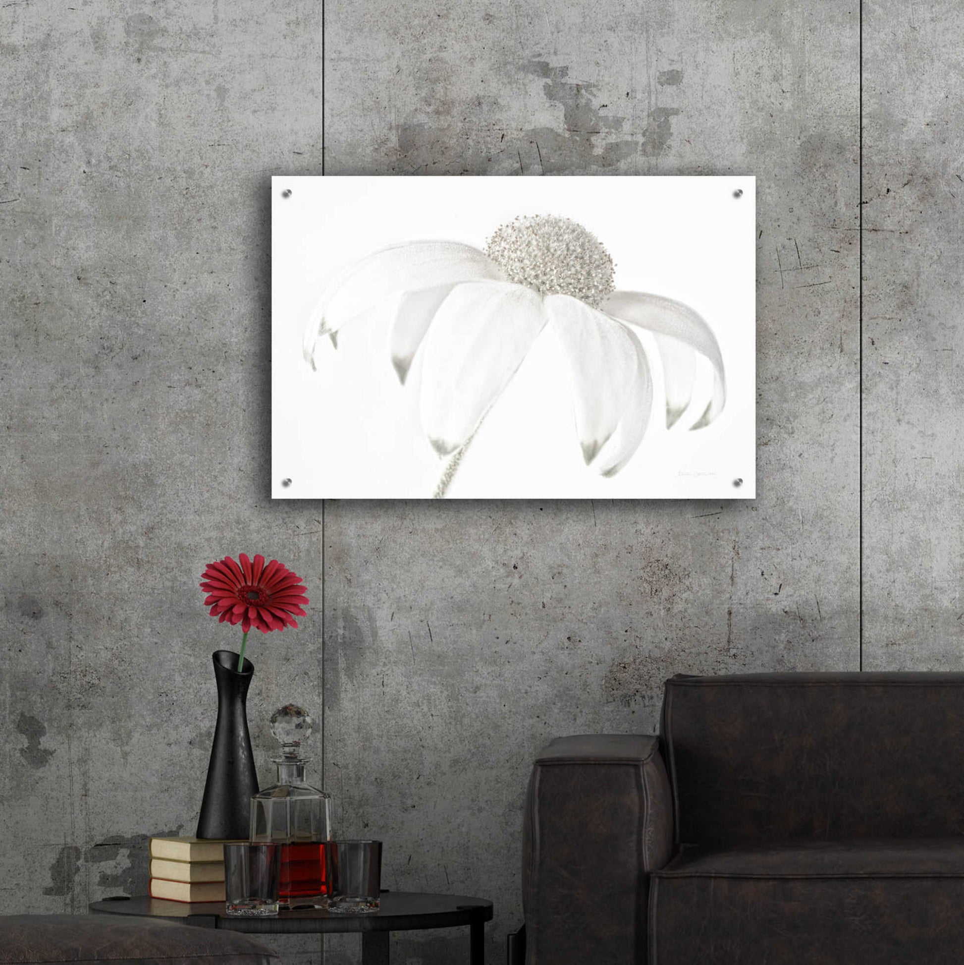 Epic Art 'Flannel Flower Neutral' by Elise Catterall, Acrylic Glass Wall Art,36x24