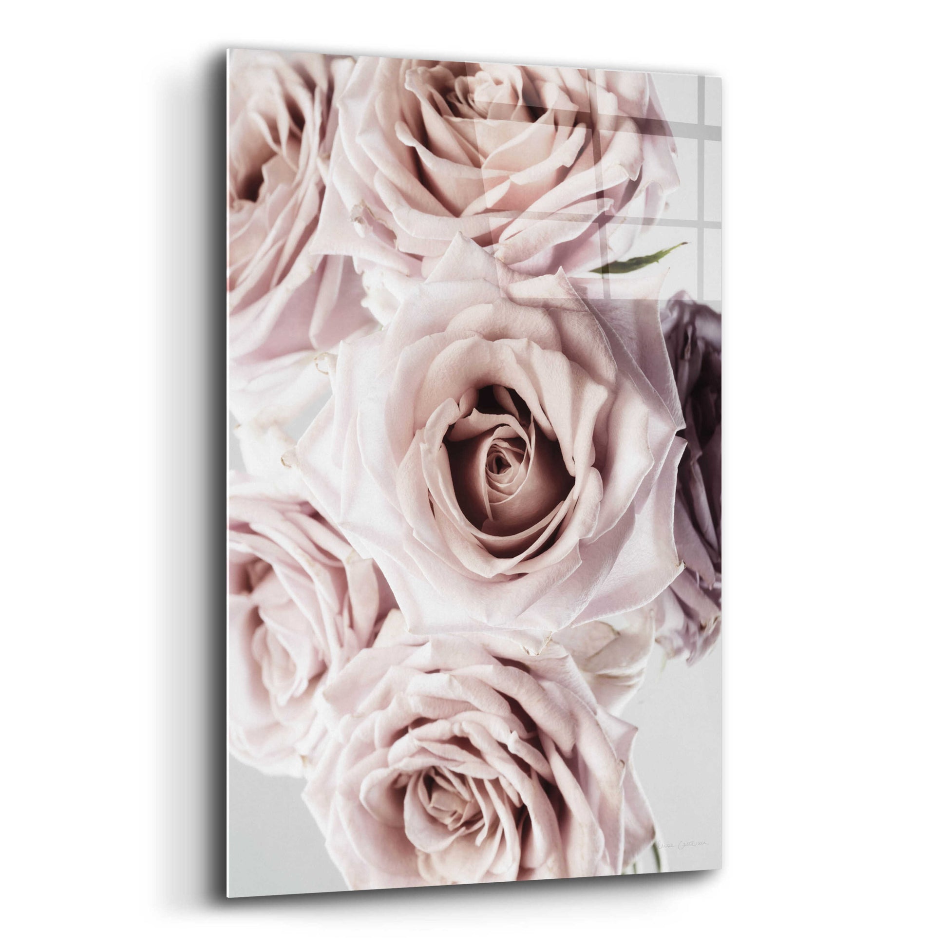 Epic Art 'Dusty Rose Cluster' by Elise Catterall, Acrylic Glass Wall Art,12x16