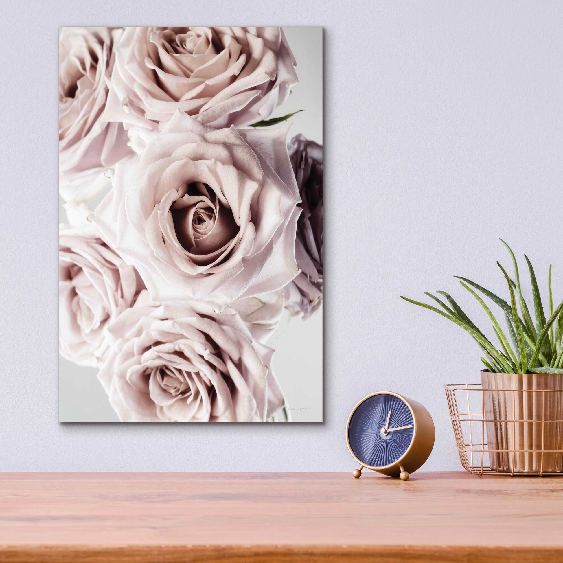 Epic Art 'Dusty Rose Cluster' by Elise Catterall, Acrylic Glass Wall Art,12x16