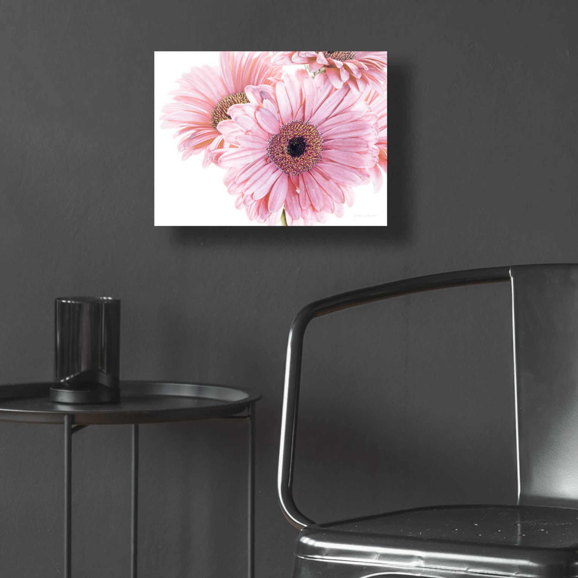 Epic Art 'Pastel Gerbera Daisies' by Elise Catterall, Acrylic Glass Wall Art,16x12