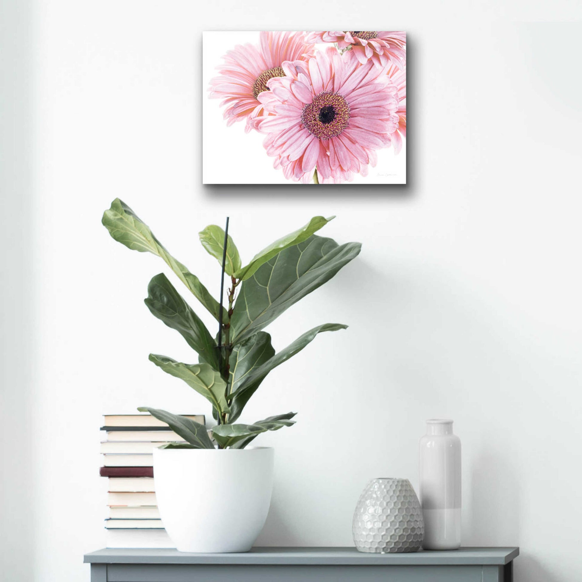 Epic Art 'Pastel Gerbera Daisies' by Elise Catterall, Acrylic Glass Wall Art,16x12