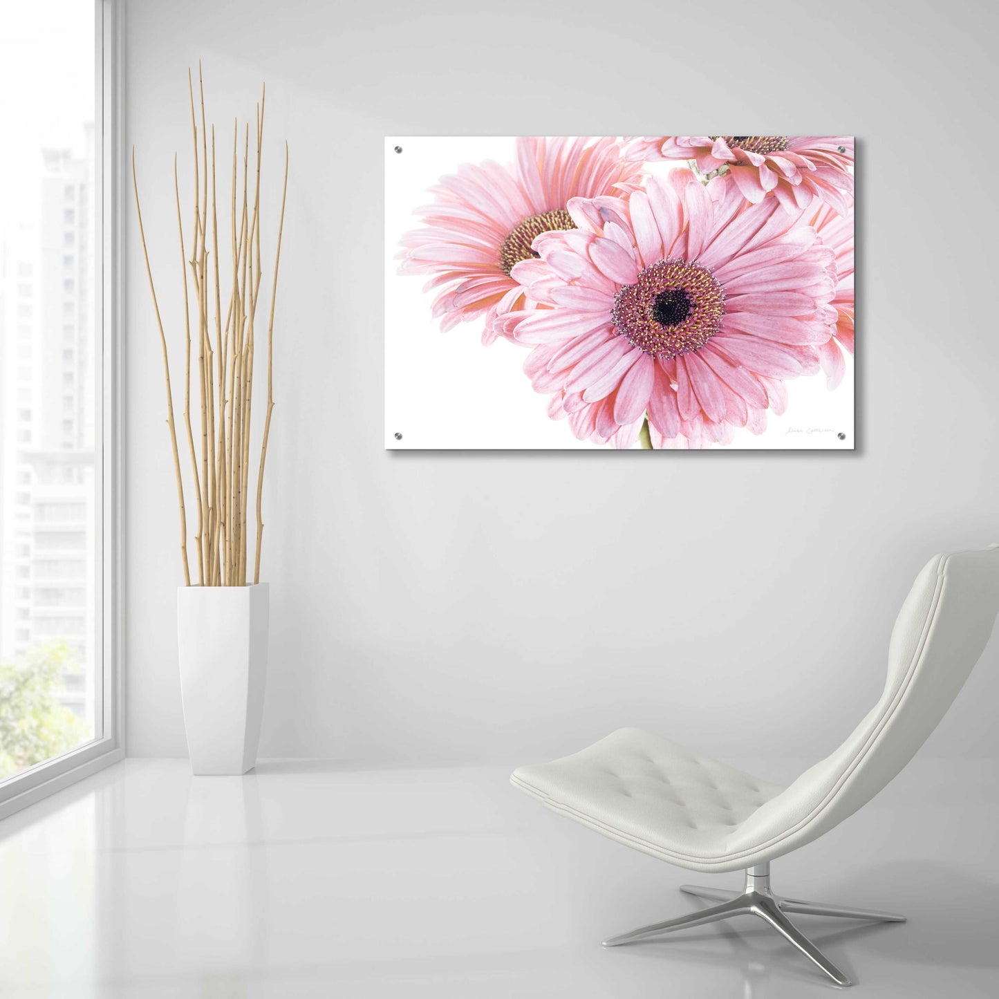 Epic Art 'Pastel Gerbera Daisies' by Elise Catterall, Acrylic Glass Wall Art,36x24