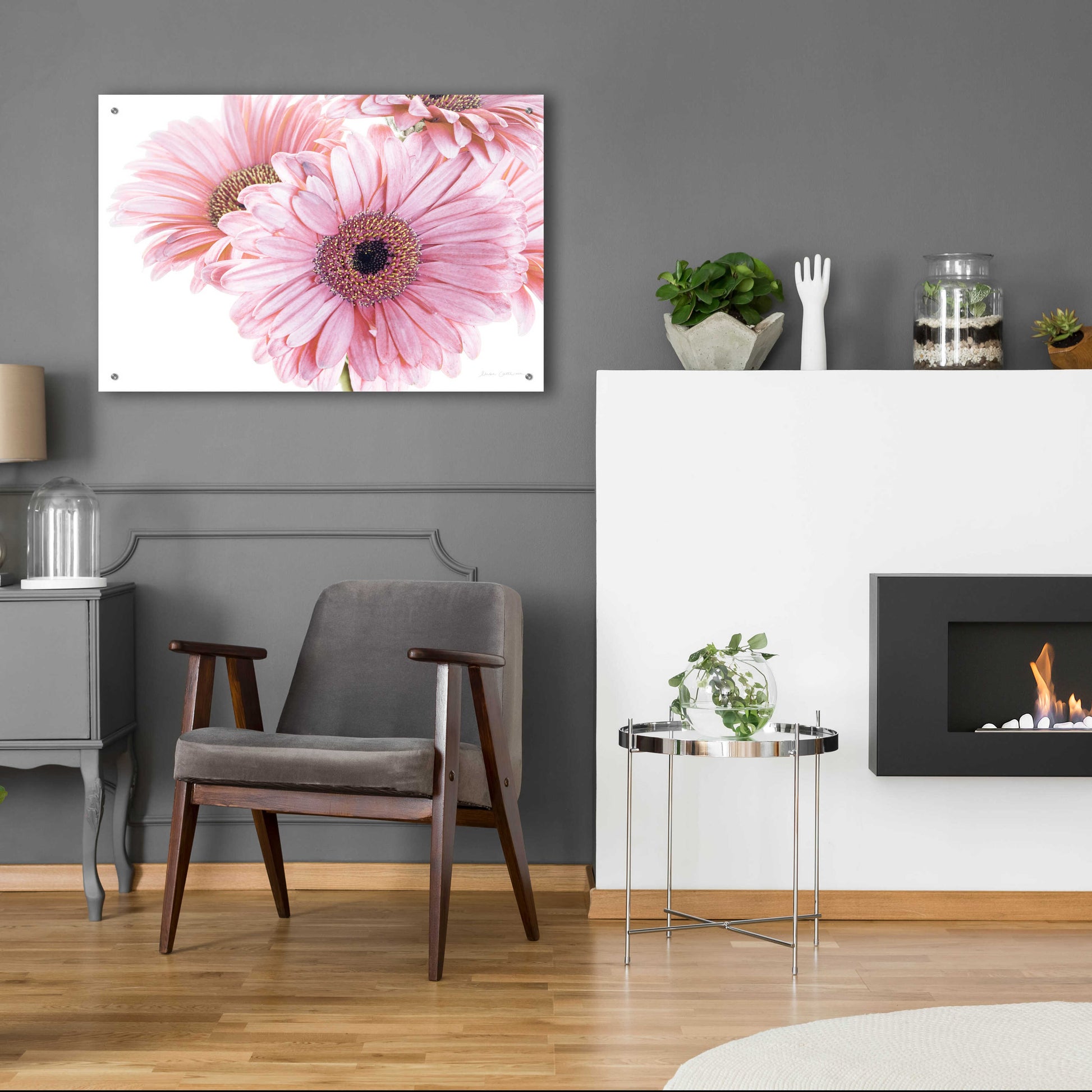 Epic Art 'Pastel Gerbera Daisies' by Elise Catterall, Acrylic Glass Wall Art,36x24