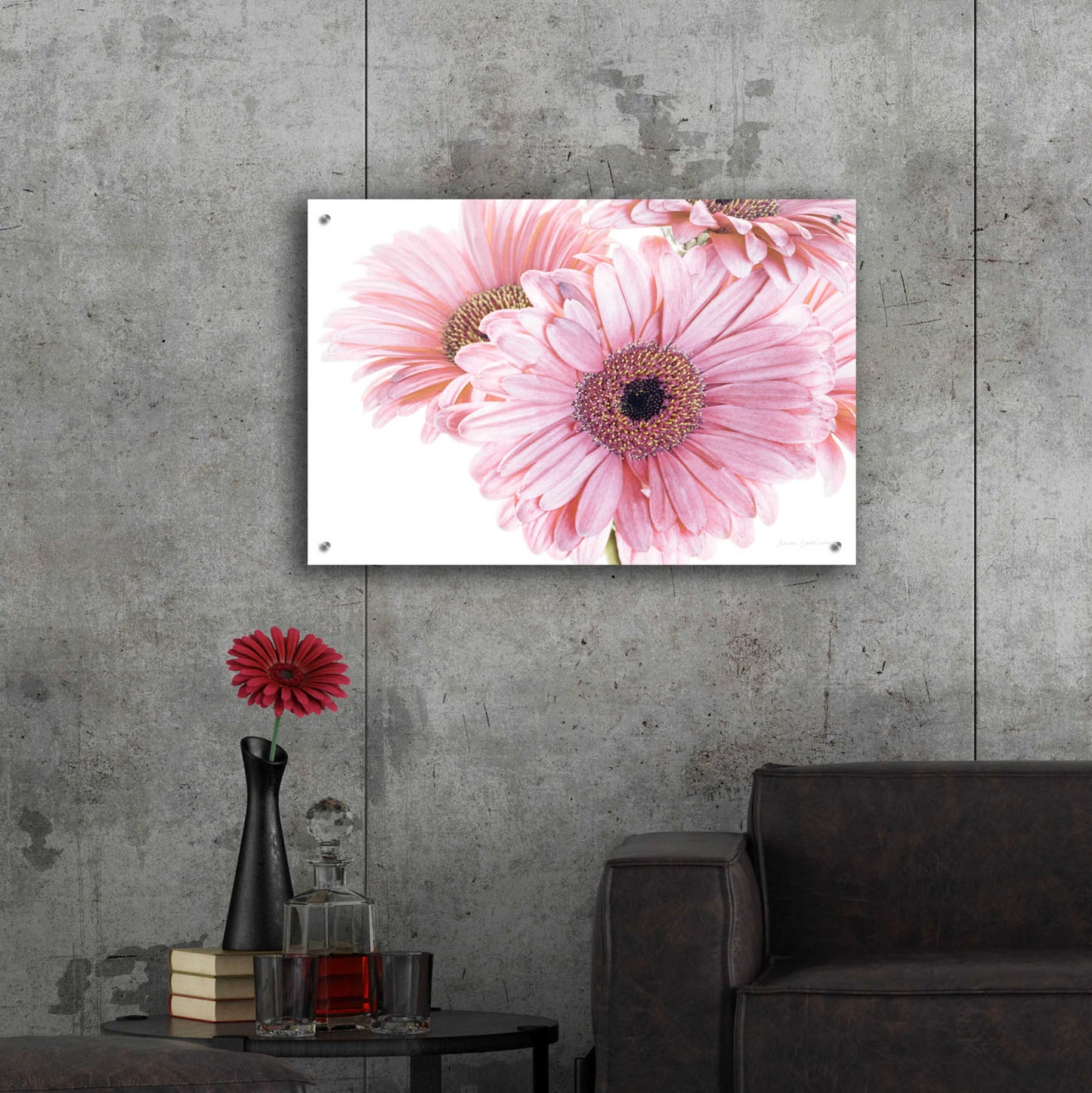 Epic Art 'Pastel Gerbera Daisies' by Elise Catterall, Acrylic Glass Wall Art,36x24