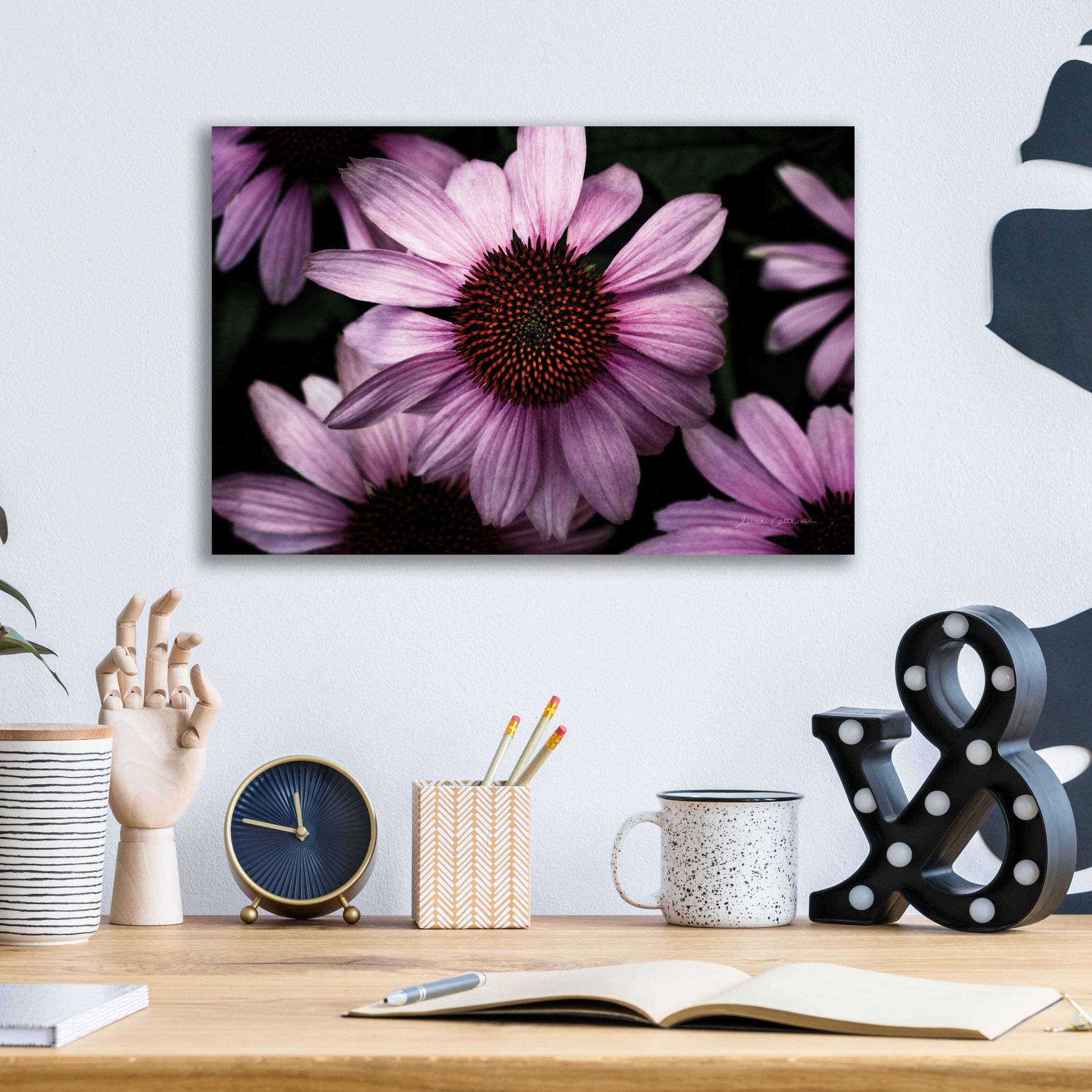 Epic Art 'Echinacea' by Elise Catterall, Acrylic Glass Wall Art,16x12