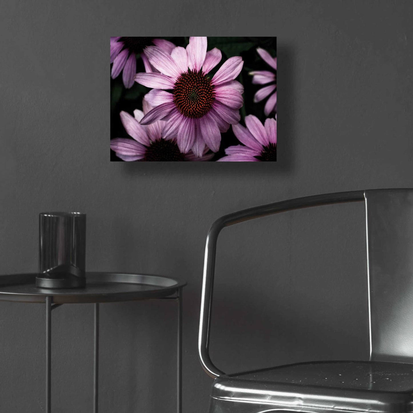 Epic Art 'Echinacea' by Elise Catterall, Acrylic Glass Wall Art,16x12