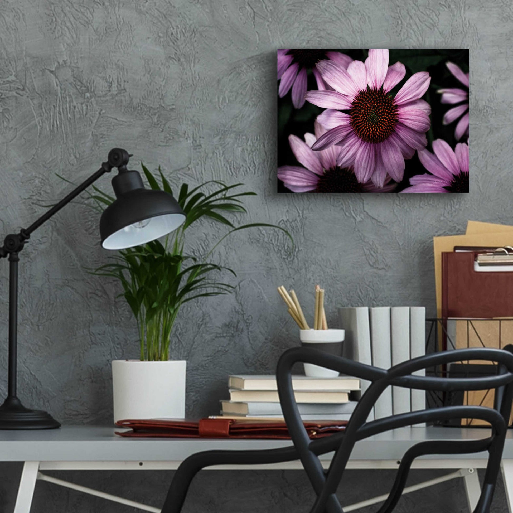 Epic Art 'Echinacea' by Elise Catterall, Acrylic Glass Wall Art,16x12