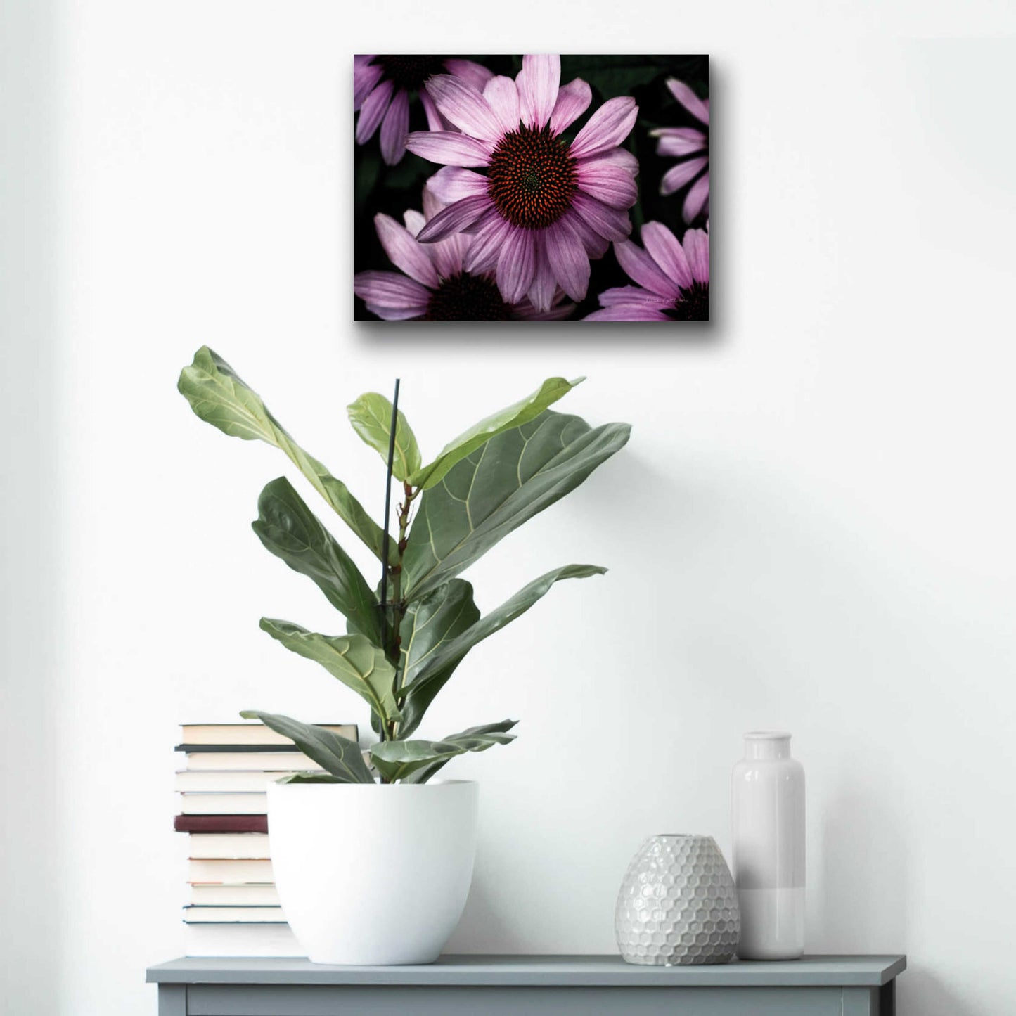 Epic Art 'Echinacea' by Elise Catterall, Acrylic Glass Wall Art,16x12