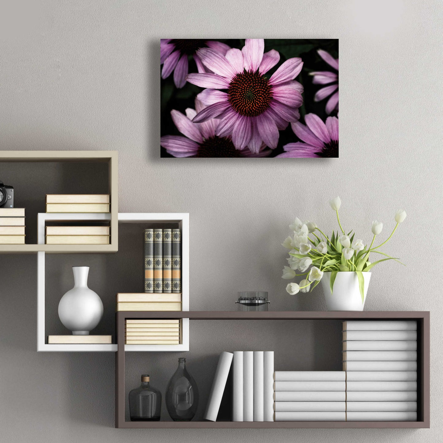 Epic Art 'Echinacea' by Elise Catterall, Acrylic Glass Wall Art,24x16