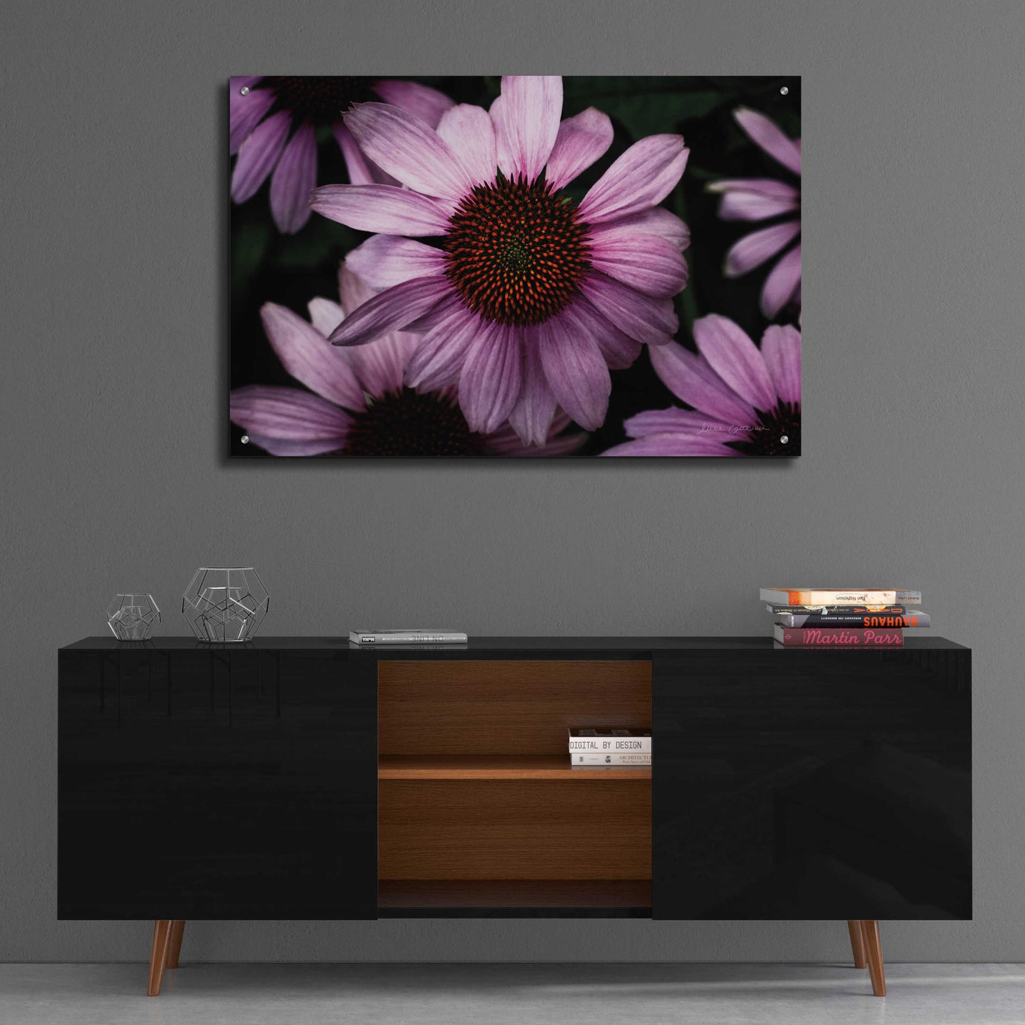 Epic Art 'Echinacea' by Elise Catterall, Acrylic Glass Wall Art,36x24