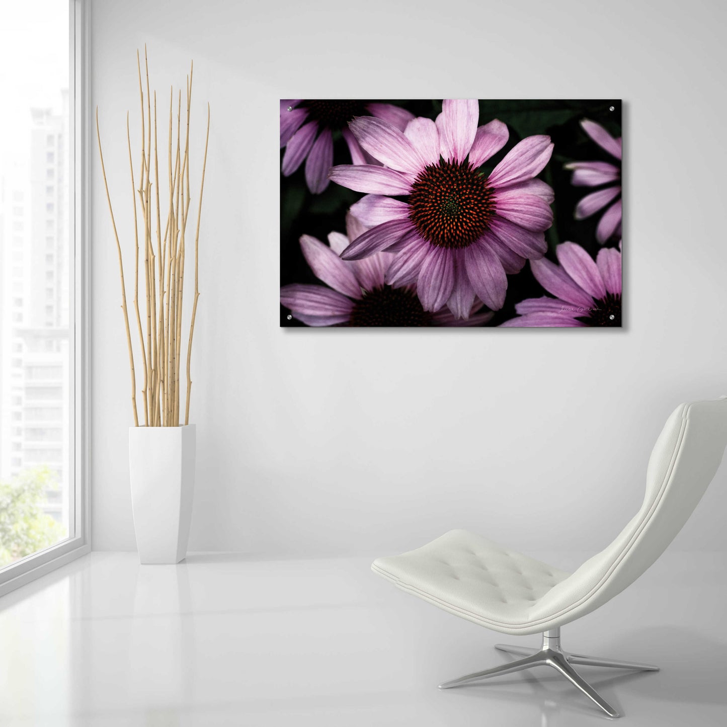 Epic Art 'Echinacea' by Elise Catterall, Acrylic Glass Wall Art,36x24