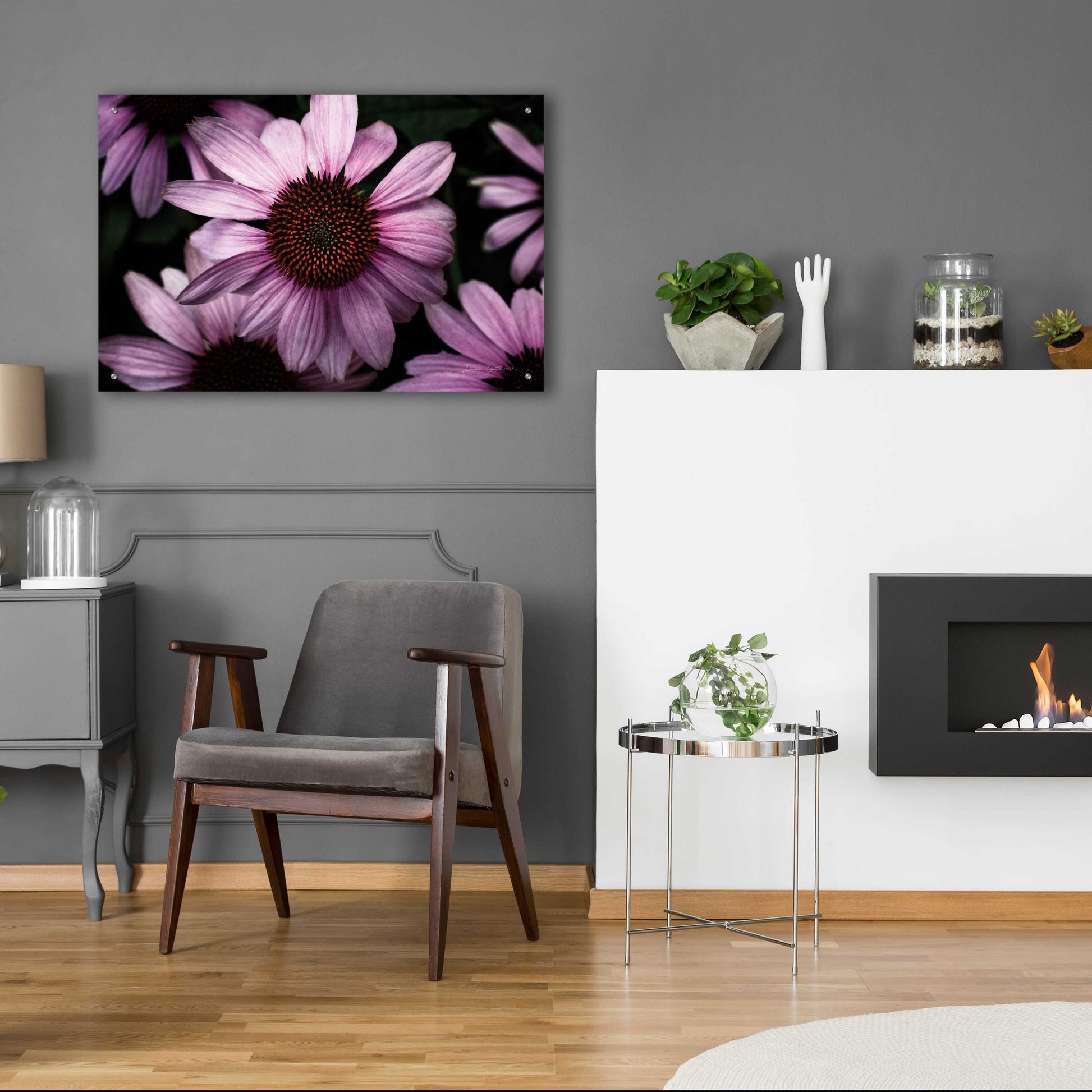 Epic Art 'Echinacea' by Elise Catterall, Acrylic Glass Wall Art,36x24