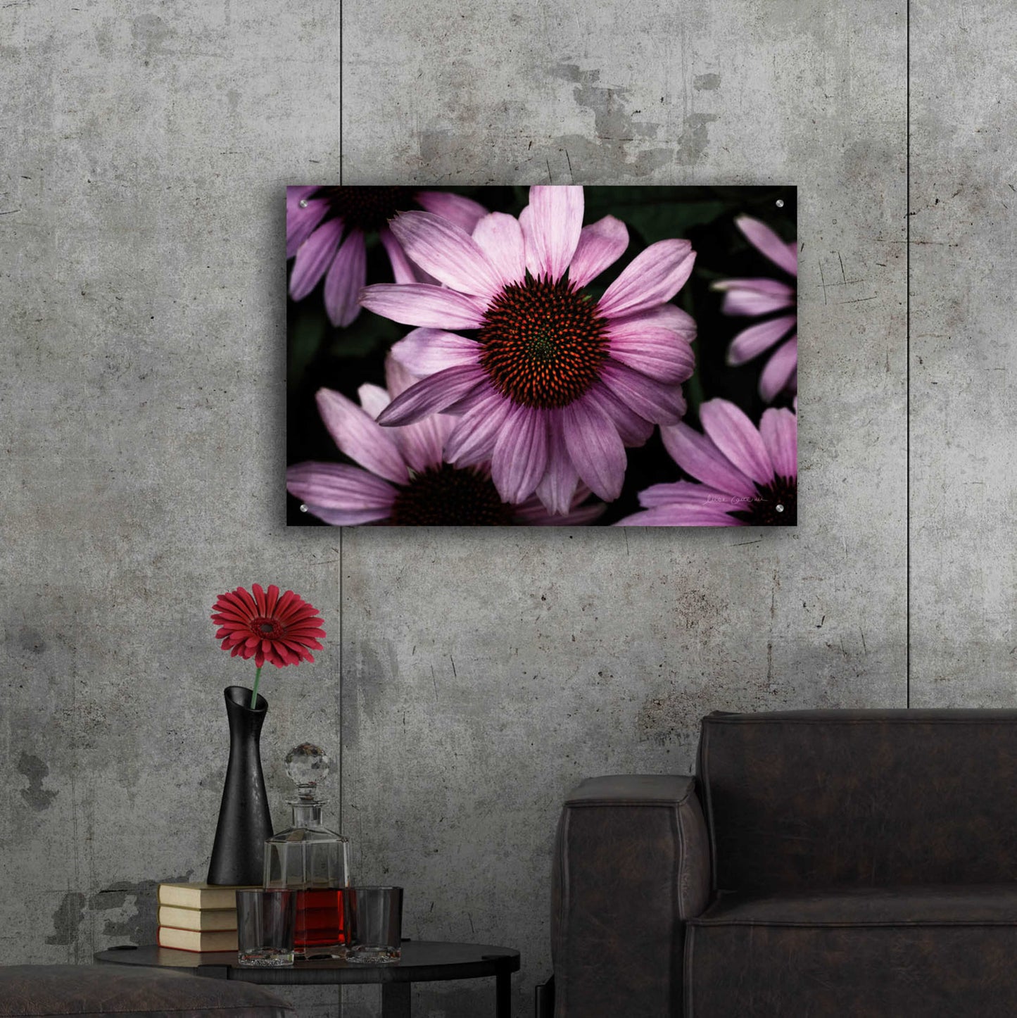 Epic Art 'Echinacea' by Elise Catterall, Acrylic Glass Wall Art,36x24