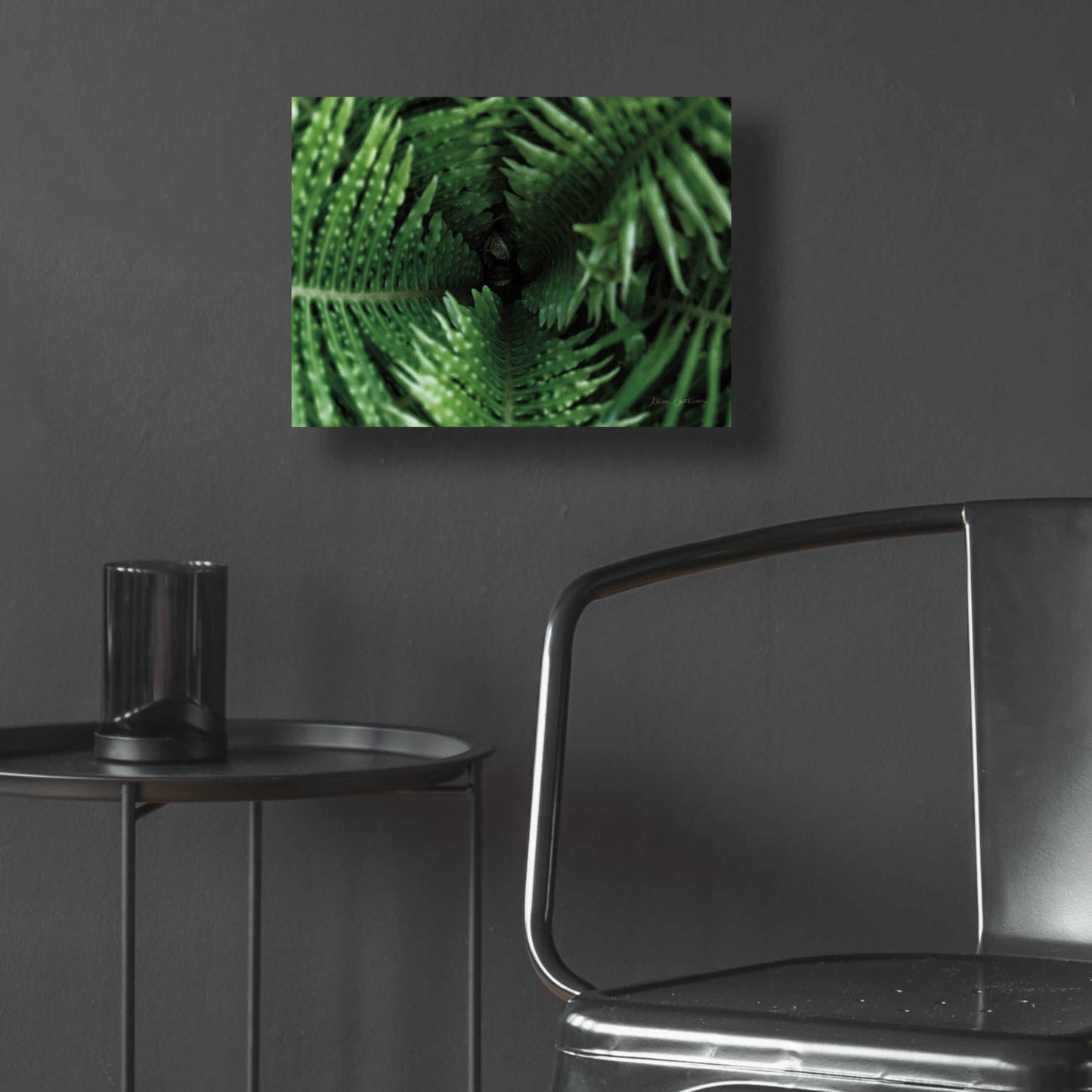 Epic Art 'Fern Detail' by Elise Catterall, Acrylic Glass Wall Art,16x12