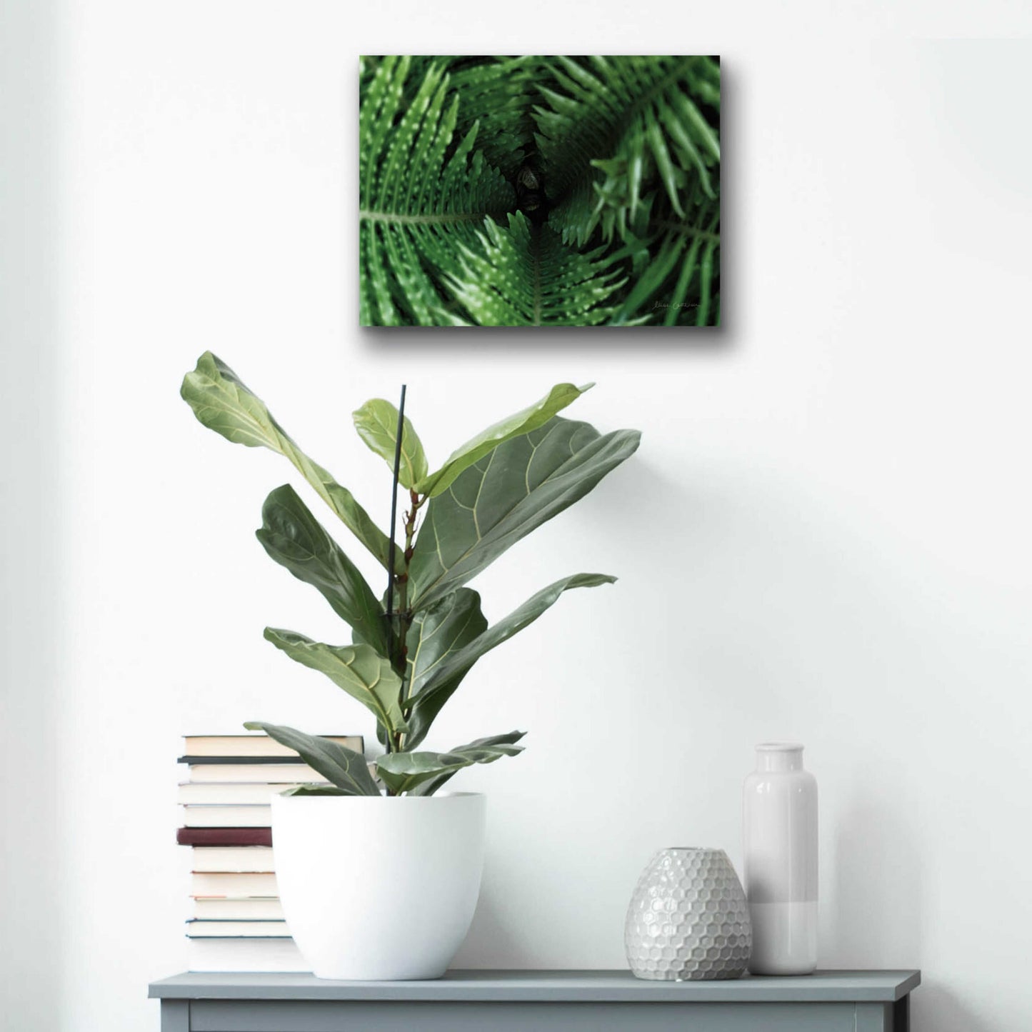 Epic Art 'Fern Detail' by Elise Catterall, Acrylic Glass Wall Art,16x12