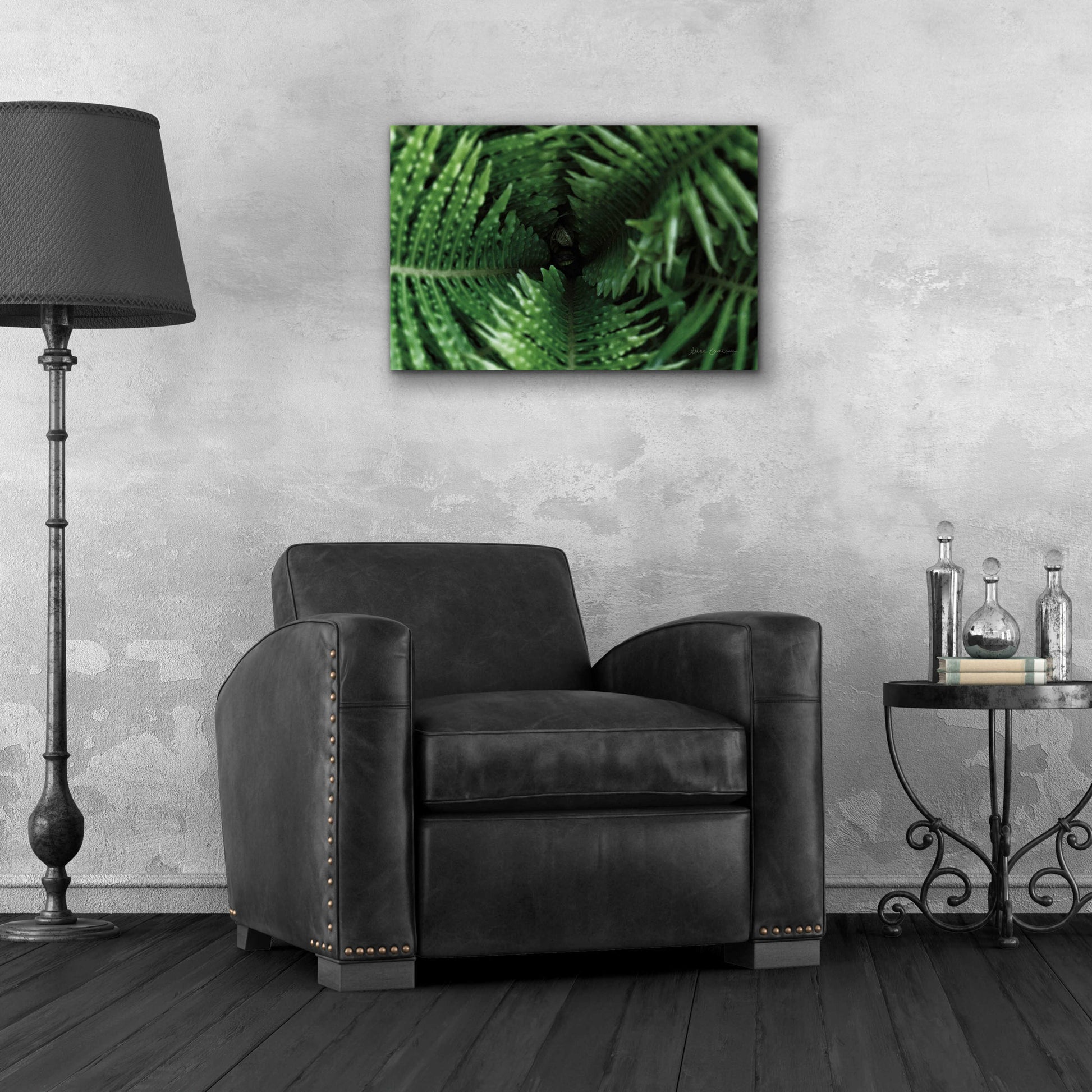 Epic Art 'Fern Detail' by Elise Catterall, Acrylic Glass Wall Art,24x16