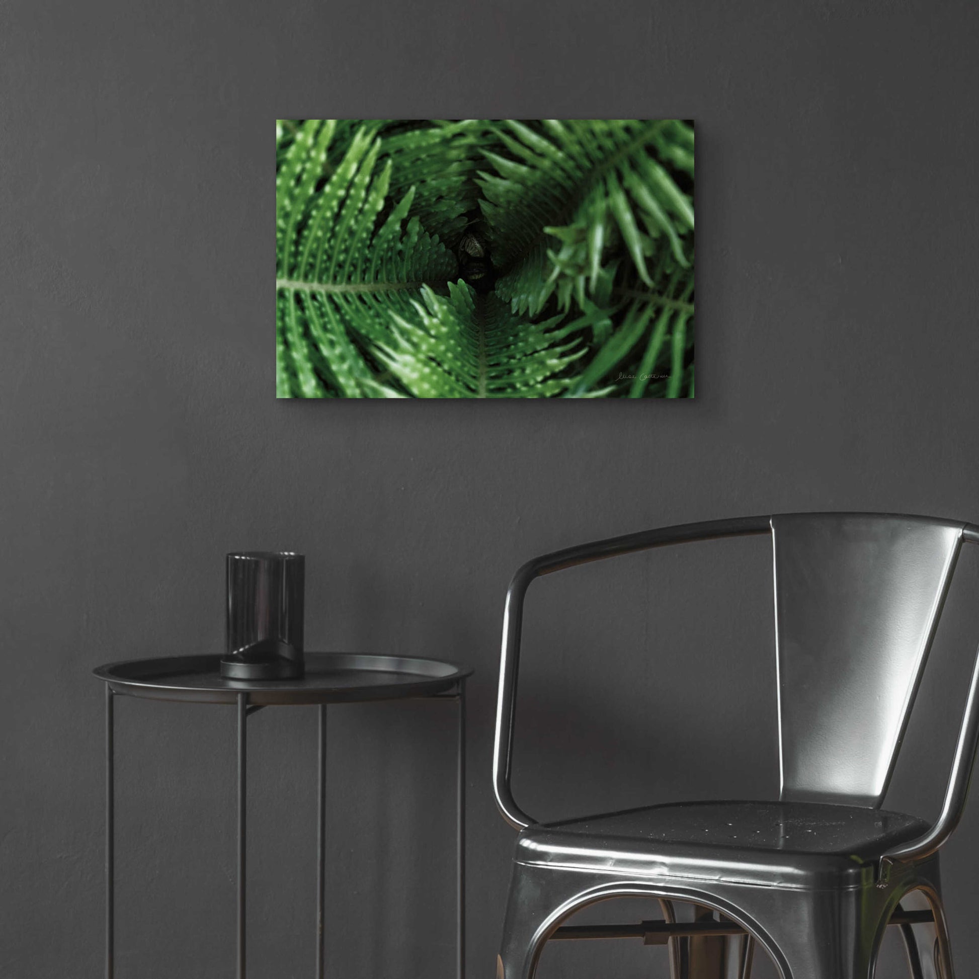 Epic Art 'Fern Detail' by Elise Catterall, Acrylic Glass Wall Art,24x16