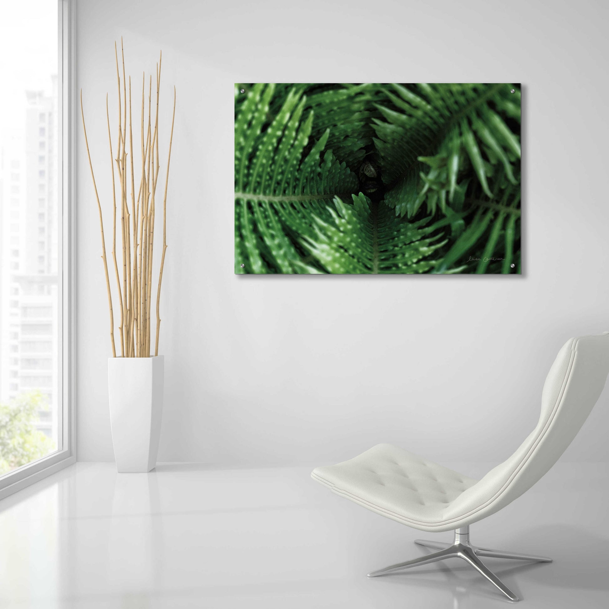 Epic Art 'Fern Detail' by Elise Catterall, Acrylic Glass Wall Art,36x24