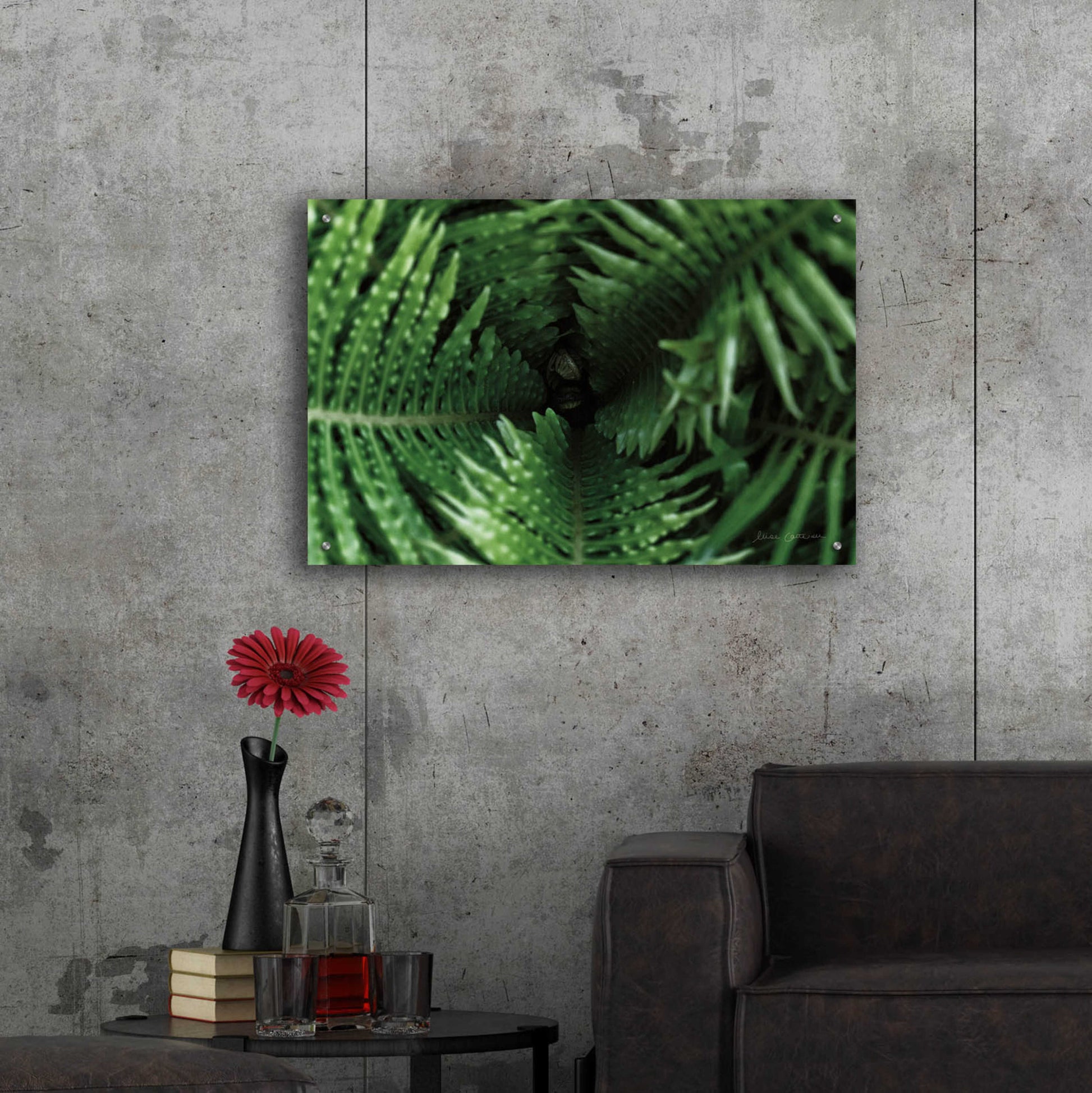 Epic Art 'Fern Detail' by Elise Catterall, Acrylic Glass Wall Art,36x24