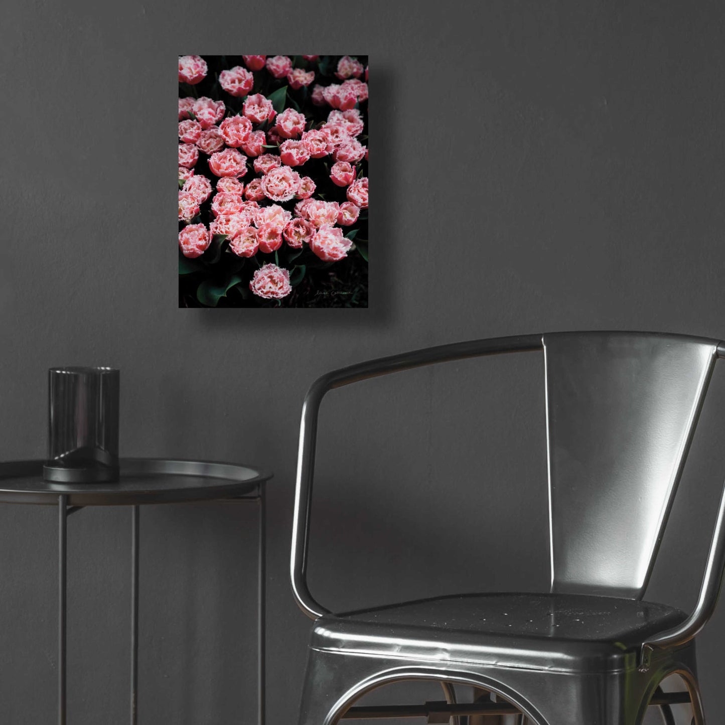 Epic Art 'Fringed Tulips' by Elise Catterall, Acrylic Glass Wall Art,12x16