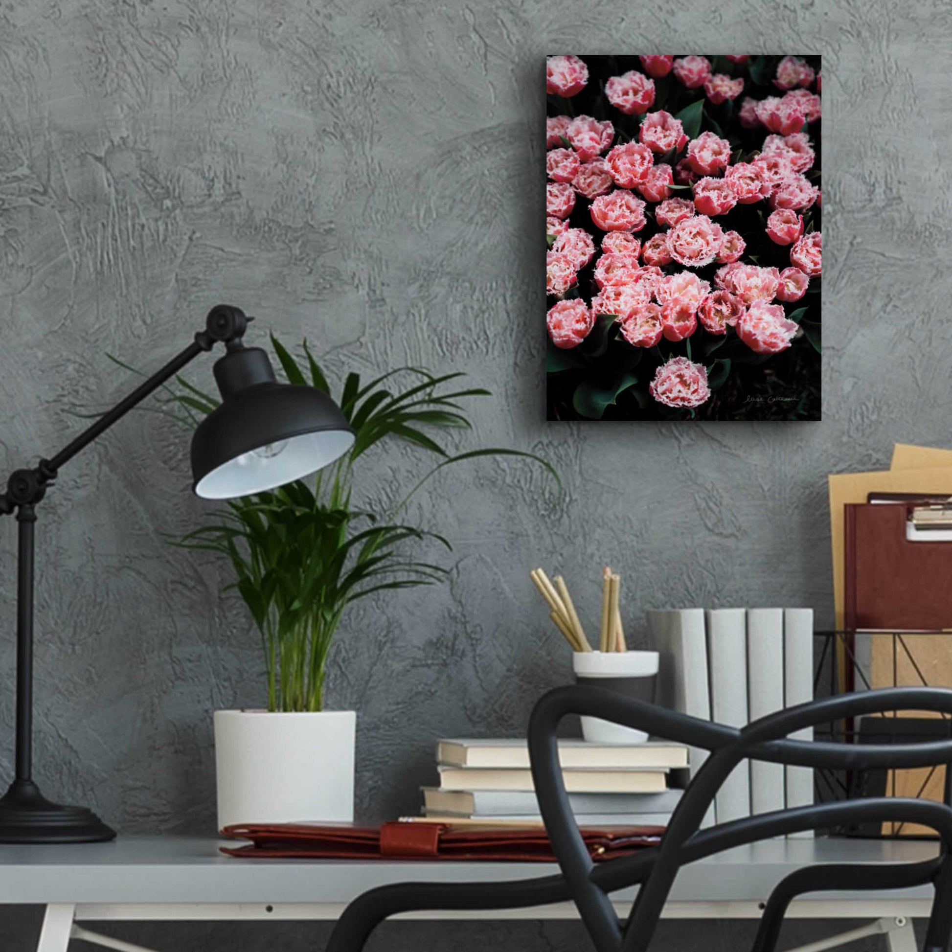 Epic Art 'Fringed Tulips' by Elise Catterall, Acrylic Glass Wall Art,12x16