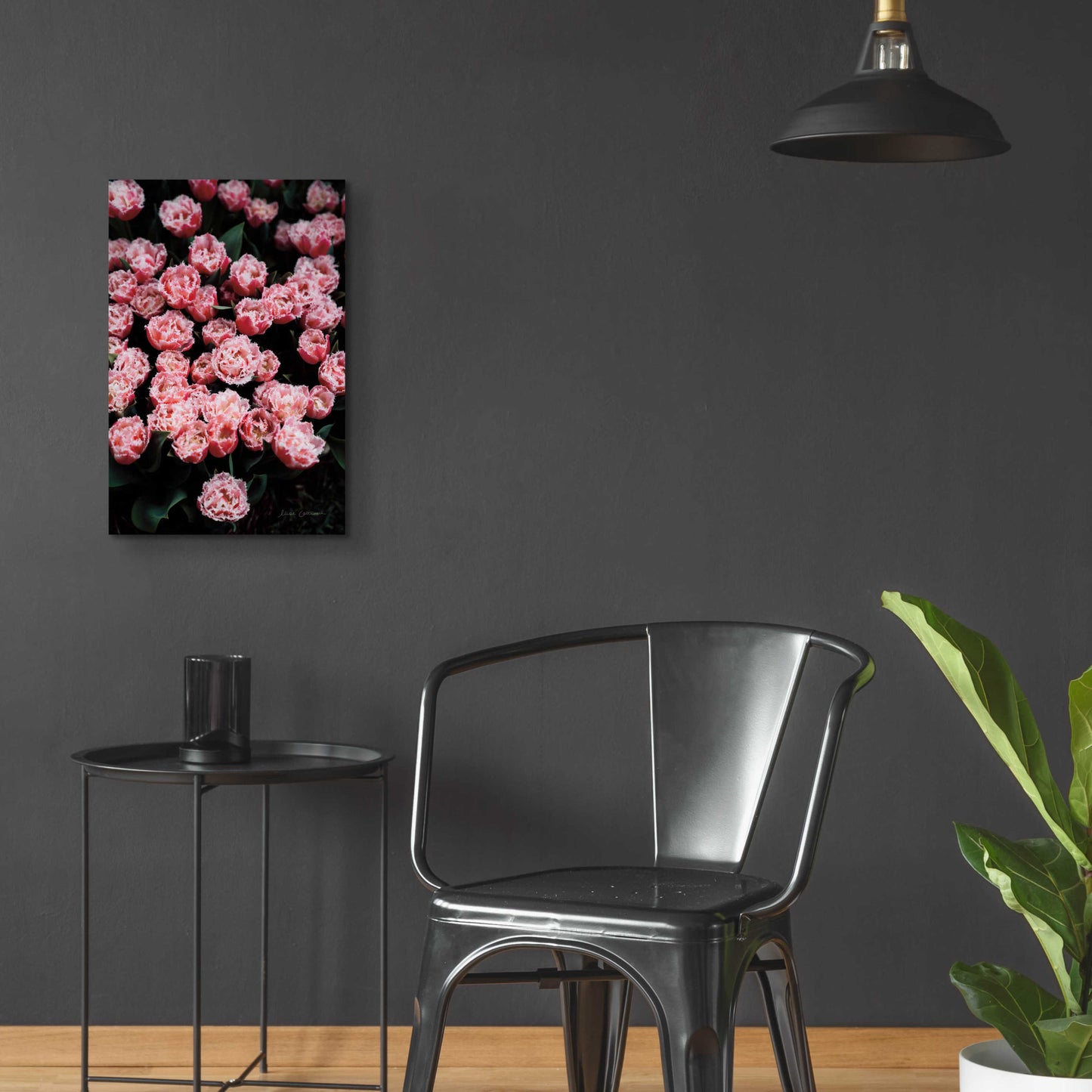 Epic Art 'Fringed Tulips' by Elise Catterall, Acrylic Glass Wall Art,16x24