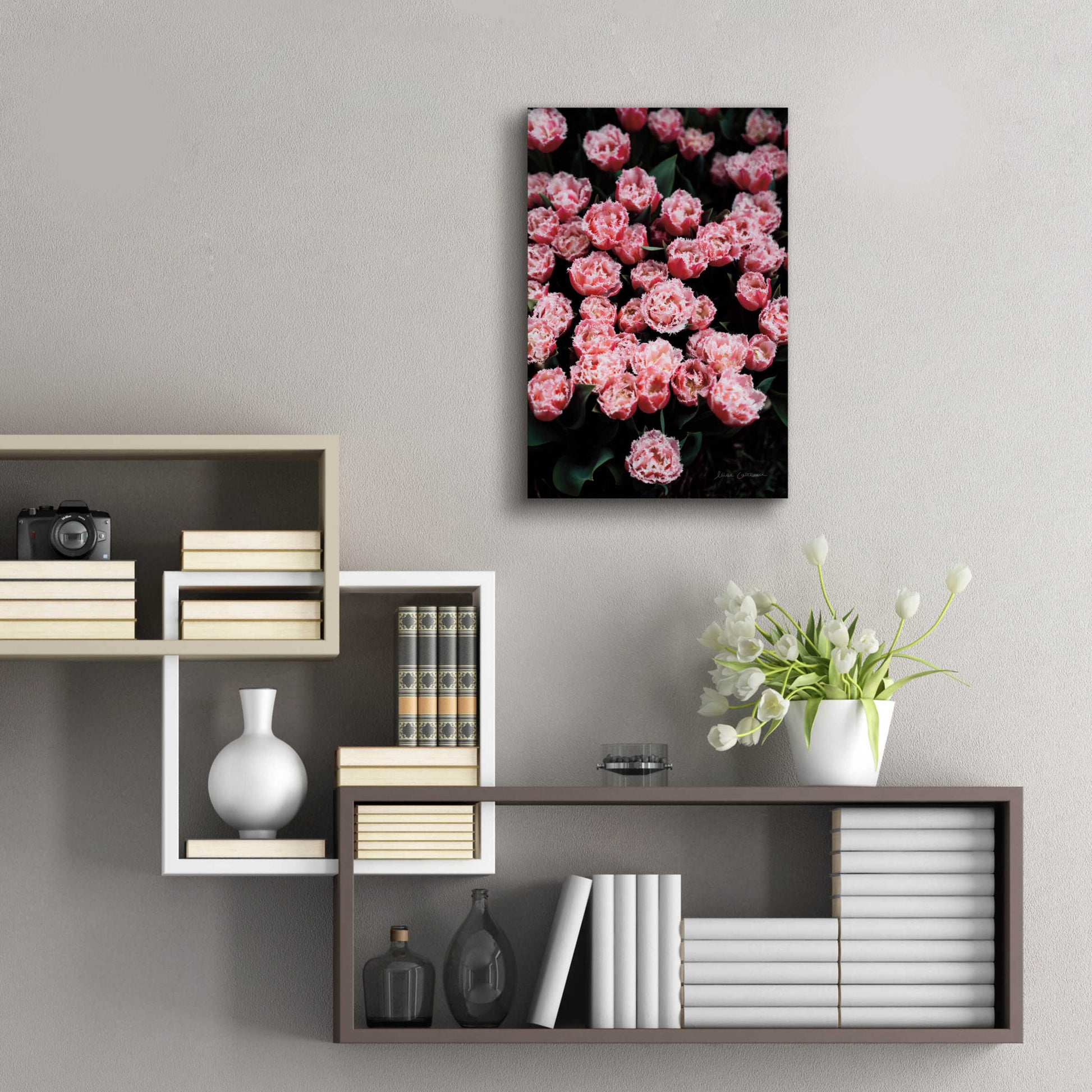 Epic Art 'Fringed Tulips' by Elise Catterall, Acrylic Glass Wall Art,16x24