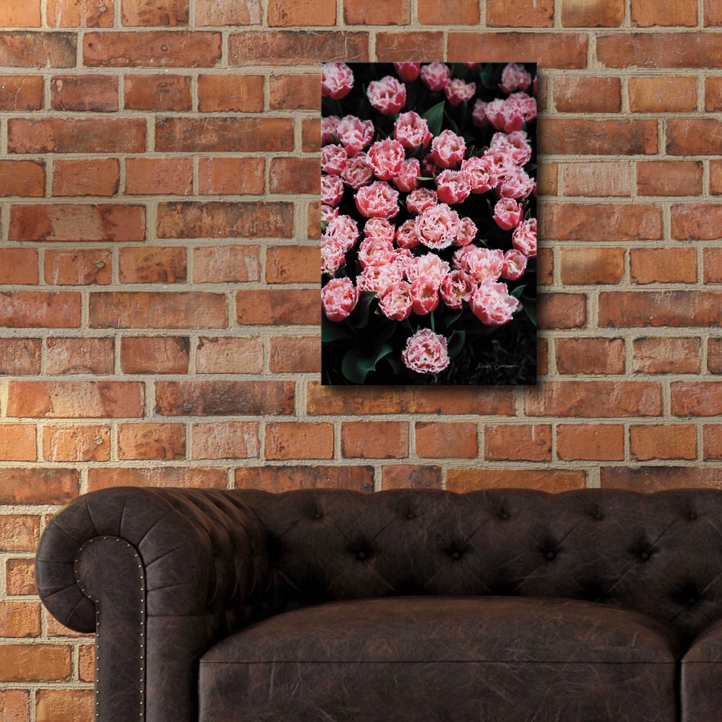 Epic Art 'Fringed Tulips' by Elise Catterall, Acrylic Glass Wall Art,16x24