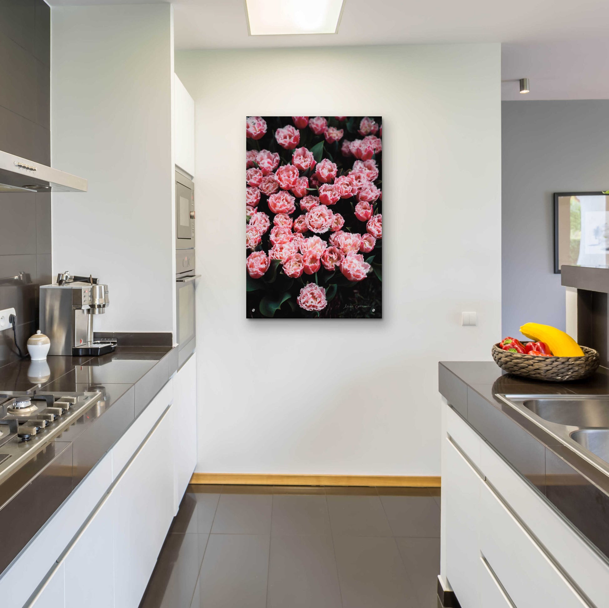 Epic Art 'Fringed Tulips' by Elise Catterall, Acrylic Glass Wall Art,24x36