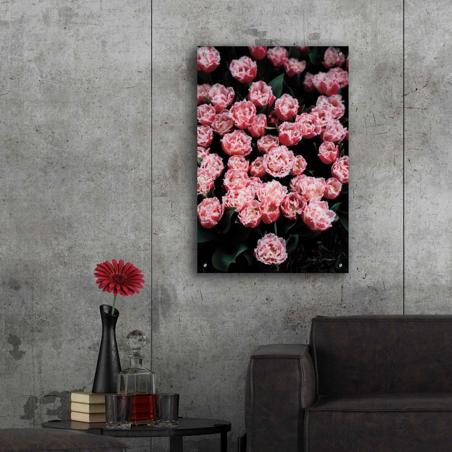 Epic Art 'Fringed Tulips' by Elise Catterall, Acrylic Glass Wall Art,24x36