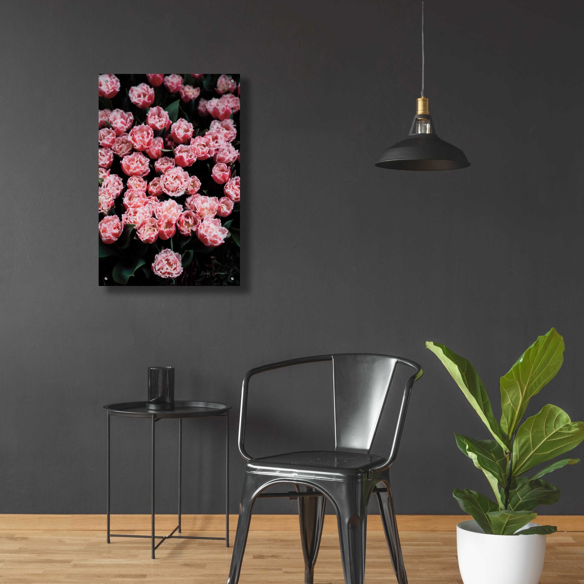 Epic Art 'Fringed Tulips' by Elise Catterall, Acrylic Glass Wall Art,24x36