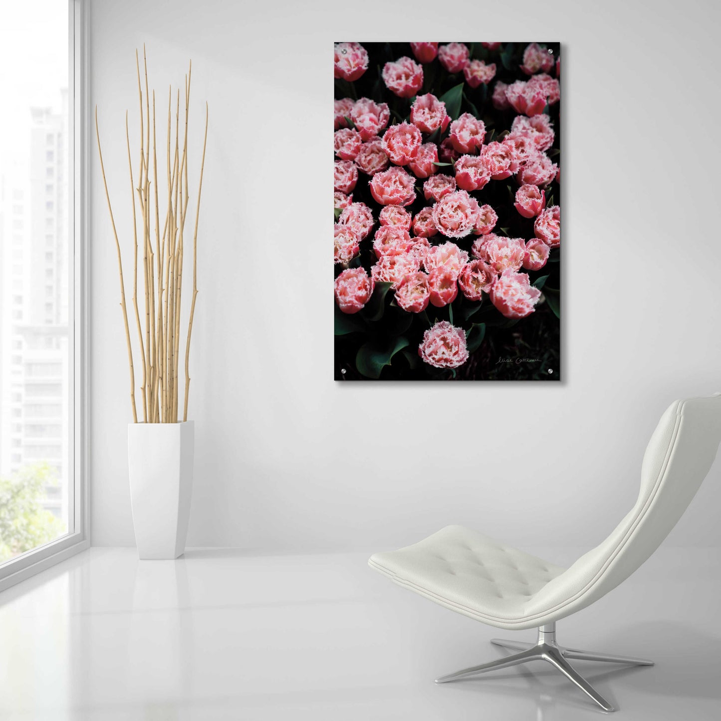 Epic Art 'Fringed Tulips' by Elise Catterall, Acrylic Glass Wall Art,24x36