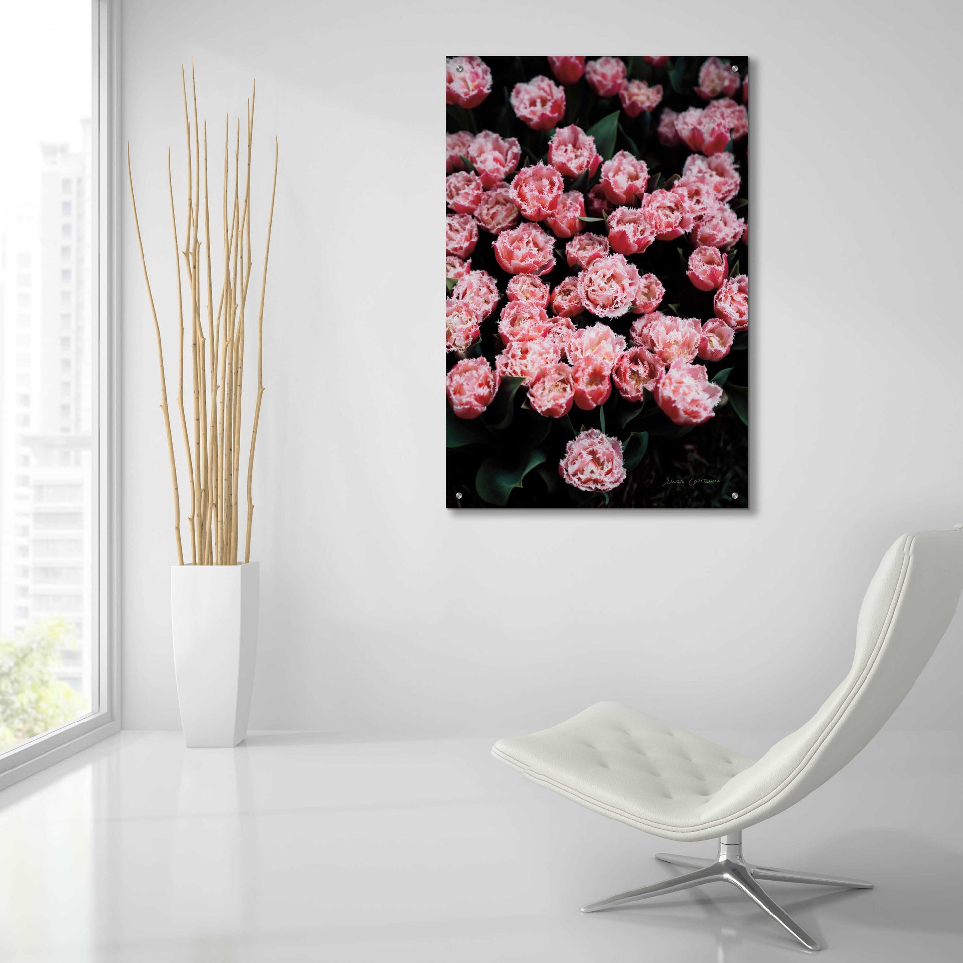 Epic Art 'Fringed Tulips' by Elise Catterall, Acrylic Glass Wall Art,24x36