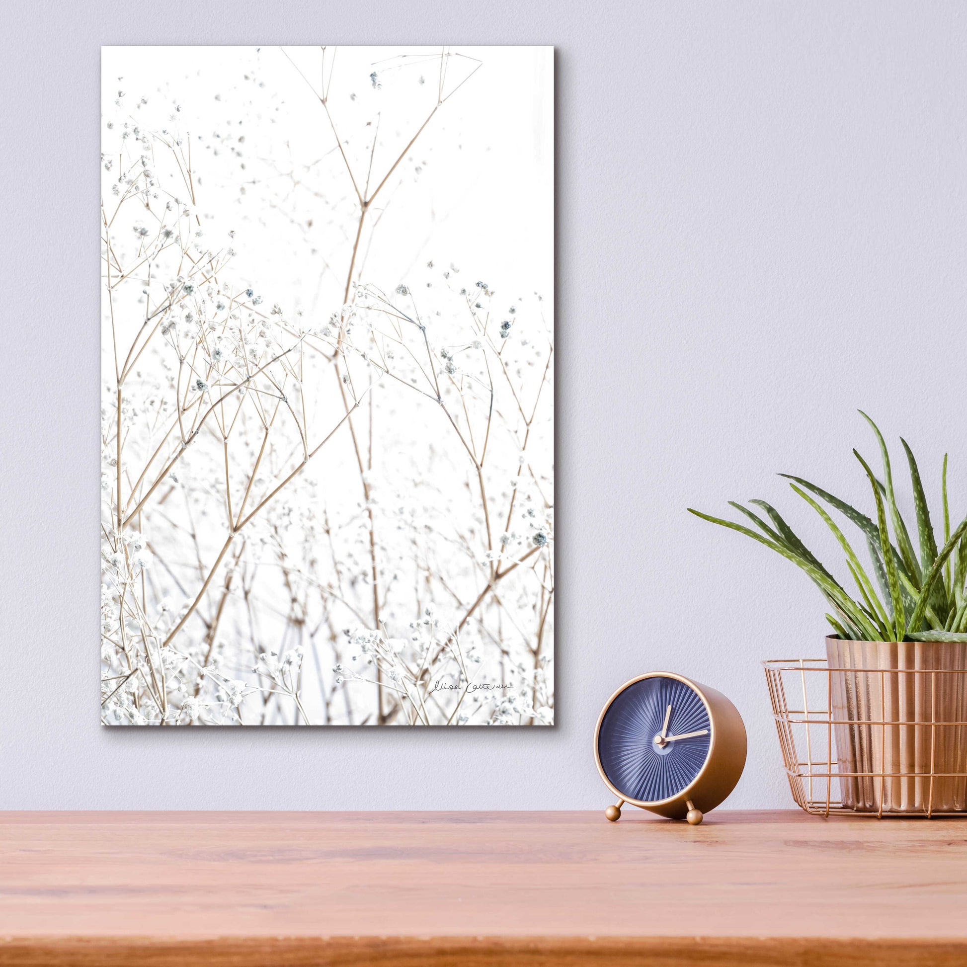 Epic Art 'Gypsophila' by Elise Catterall, Acrylic Glass Wall Art,12x16