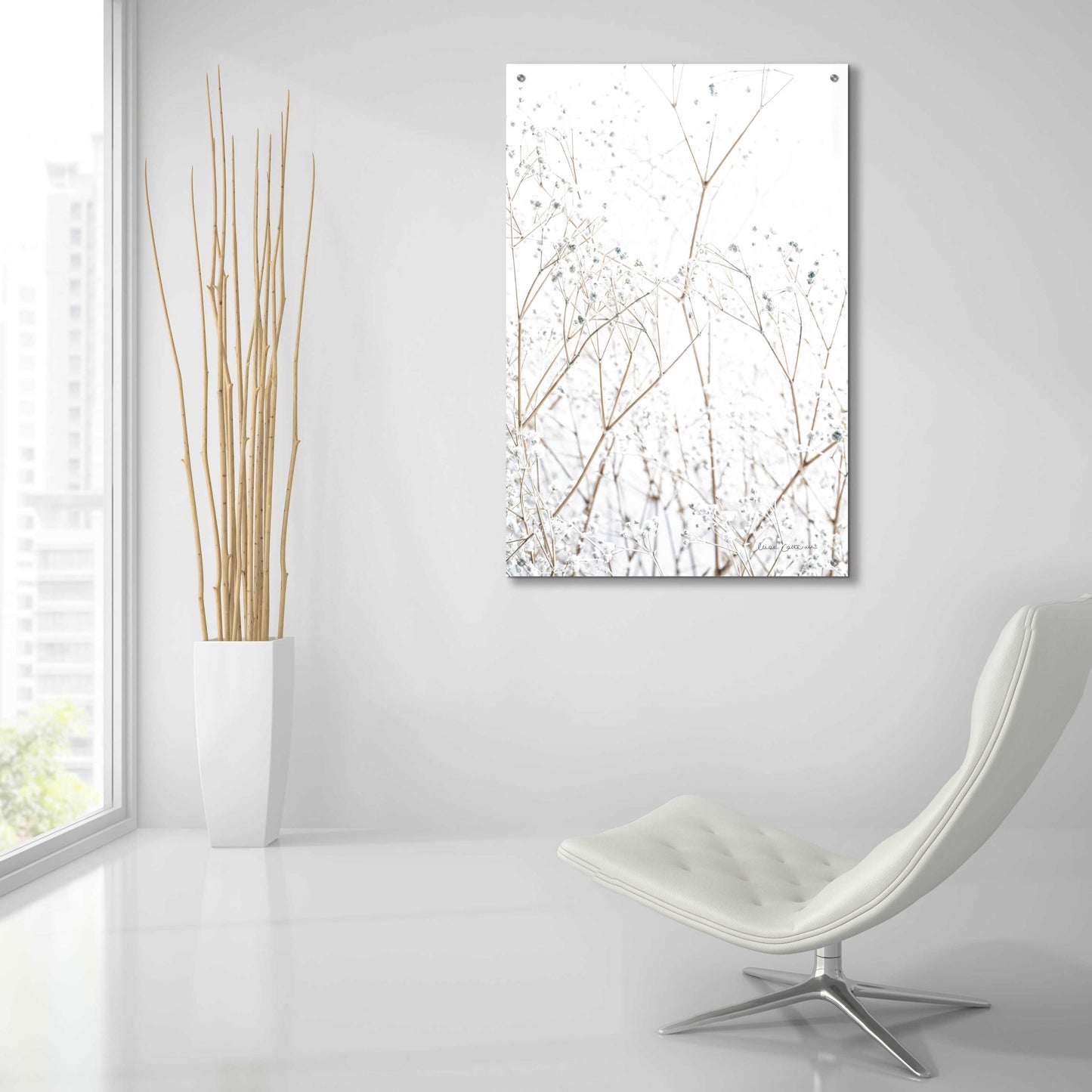 Epic Art 'Gypsophila' by Elise Catterall, Acrylic Glass Wall Art,24x36