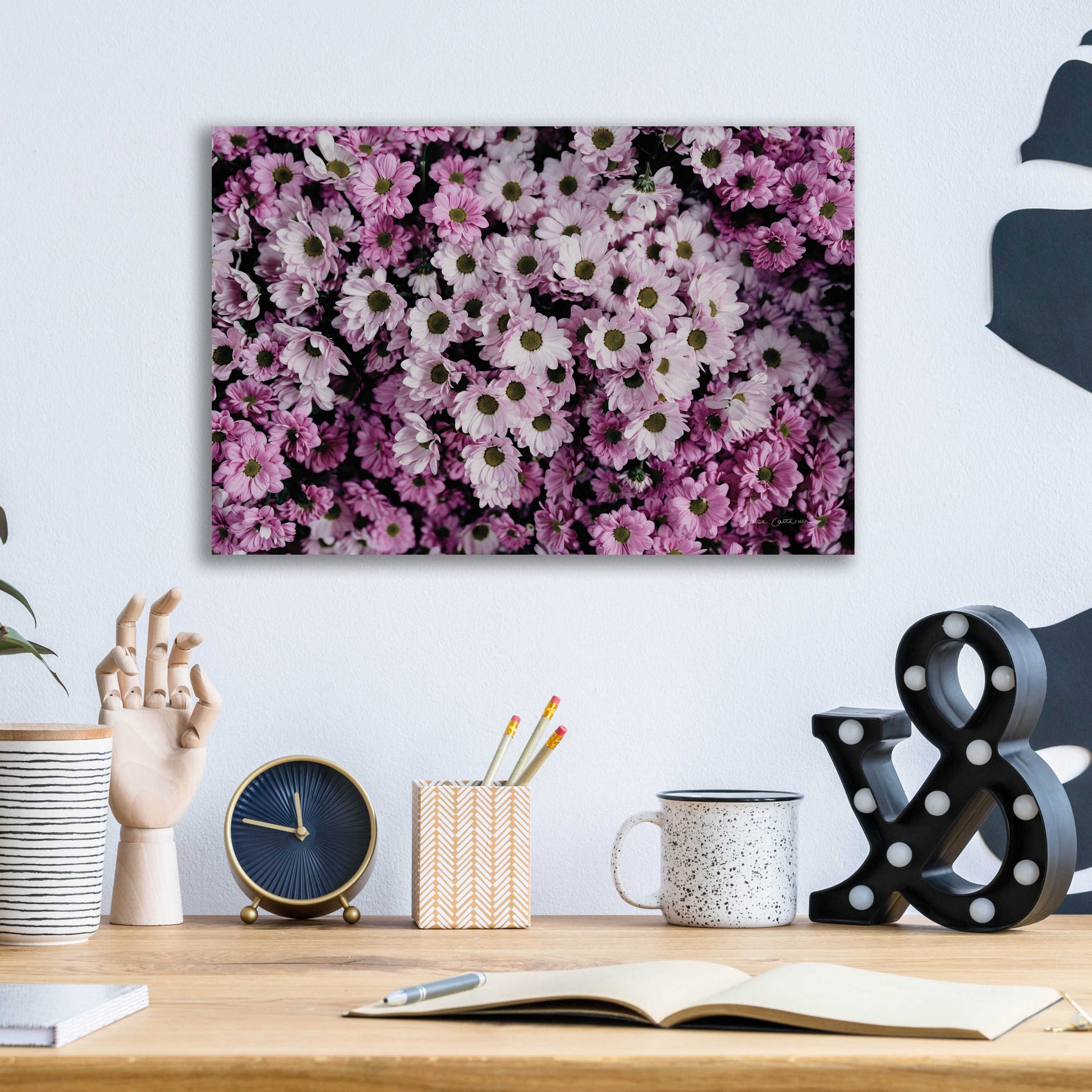 Epic Art 'Pale Daisies' by Elise Catterall, Acrylic Glass Wall Art,16x12