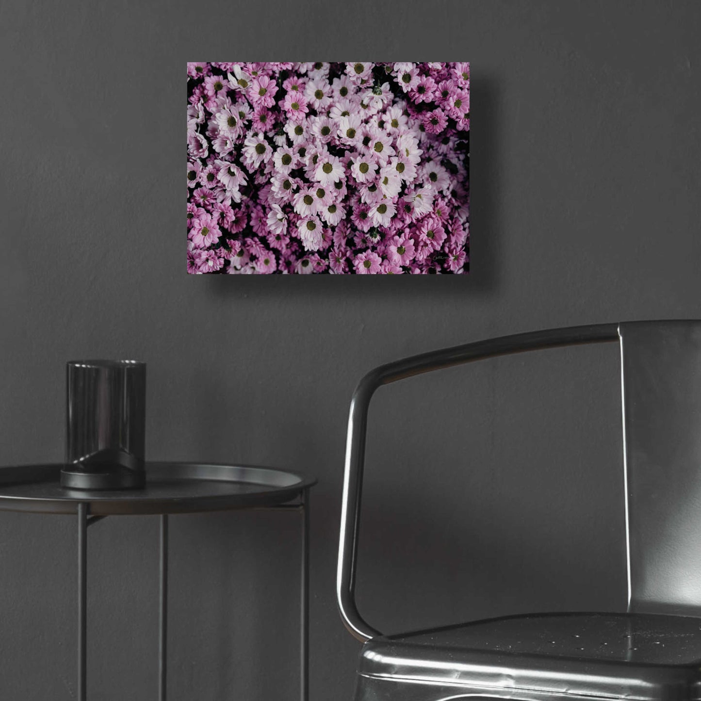 Epic Art 'Pale Daisies' by Elise Catterall, Acrylic Glass Wall Art,16x12