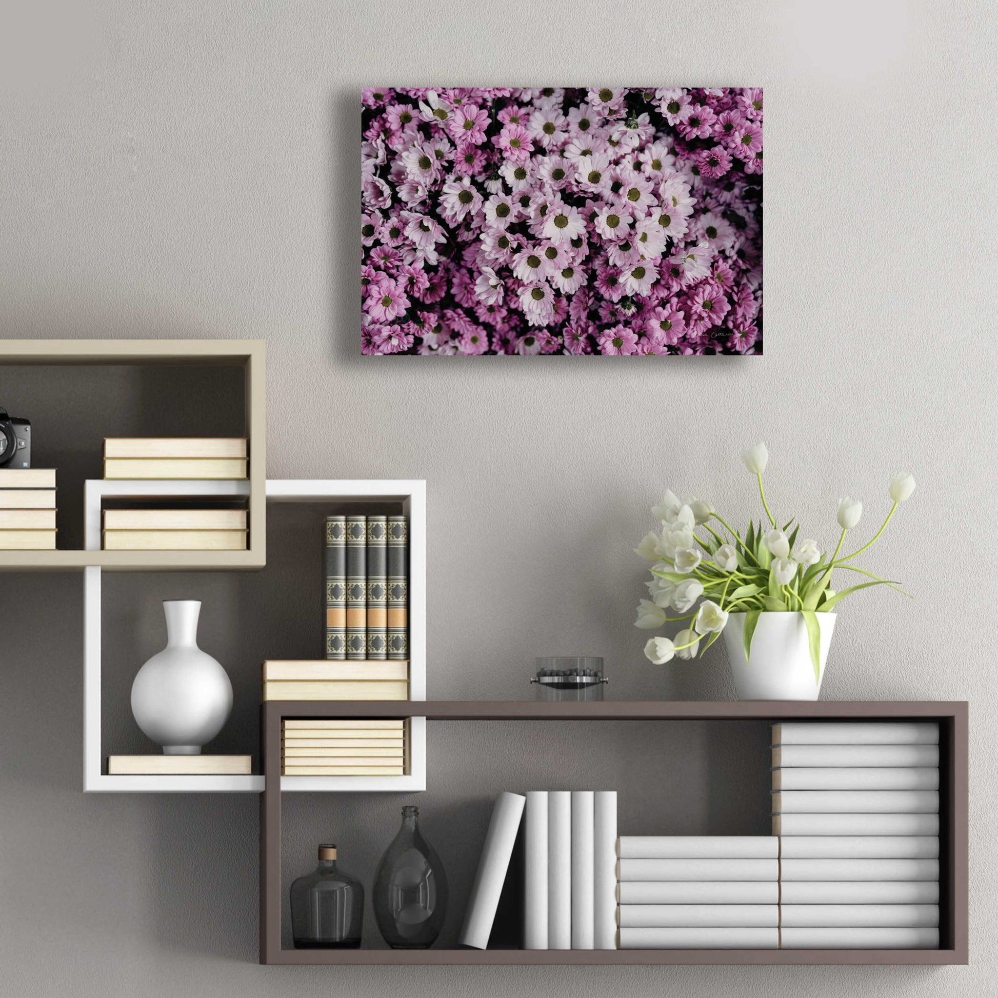 Epic Art 'Pale Daisies' by Elise Catterall, Acrylic Glass Wall Art,24x16