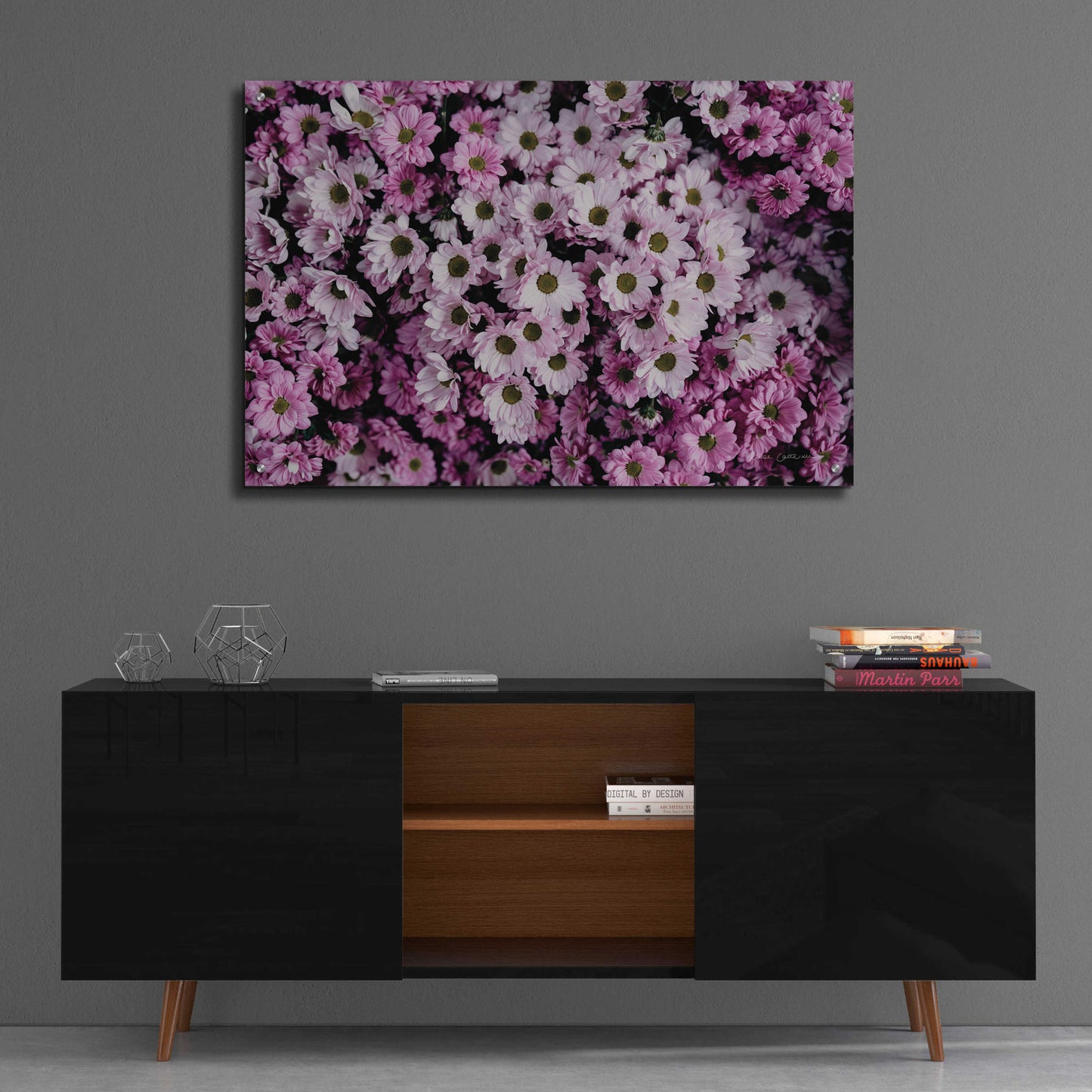 Epic Art 'Pale Daisies' by Elise Catterall, Acrylic Glass Wall Art,36x24