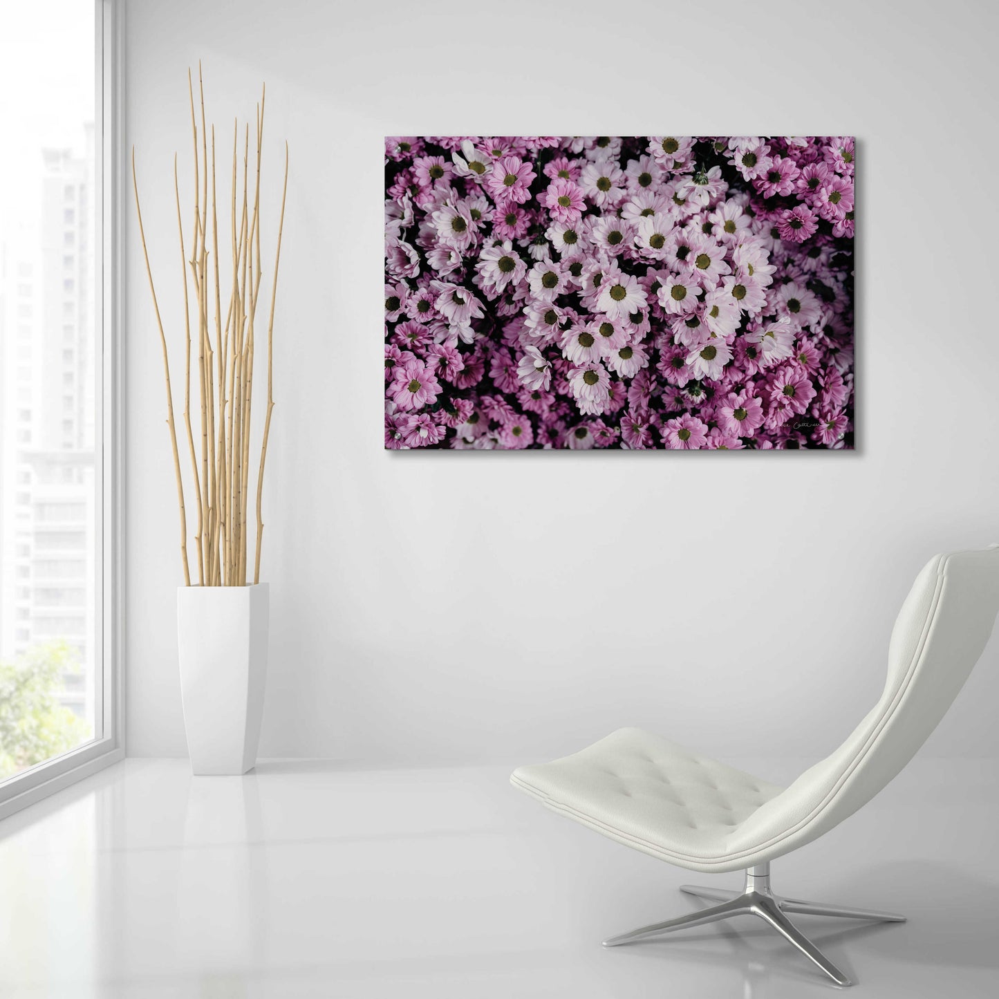 Epic Art 'Pale Daisies' by Elise Catterall, Acrylic Glass Wall Art,36x24