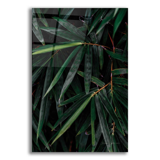 Epic Art 'Palm Detail' by Elise Catterall, Acrylic Glass Wall Art