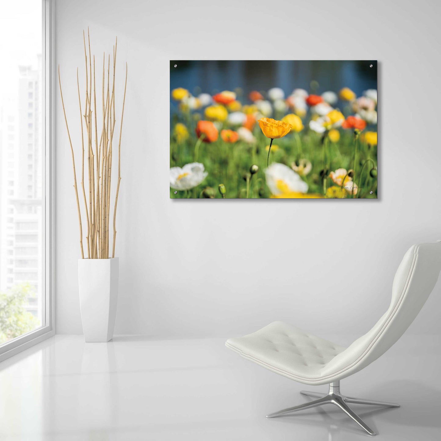 Epic Art 'Poppy Field' by Elise Catterall, Acrylic Glass Wall Art,36x24