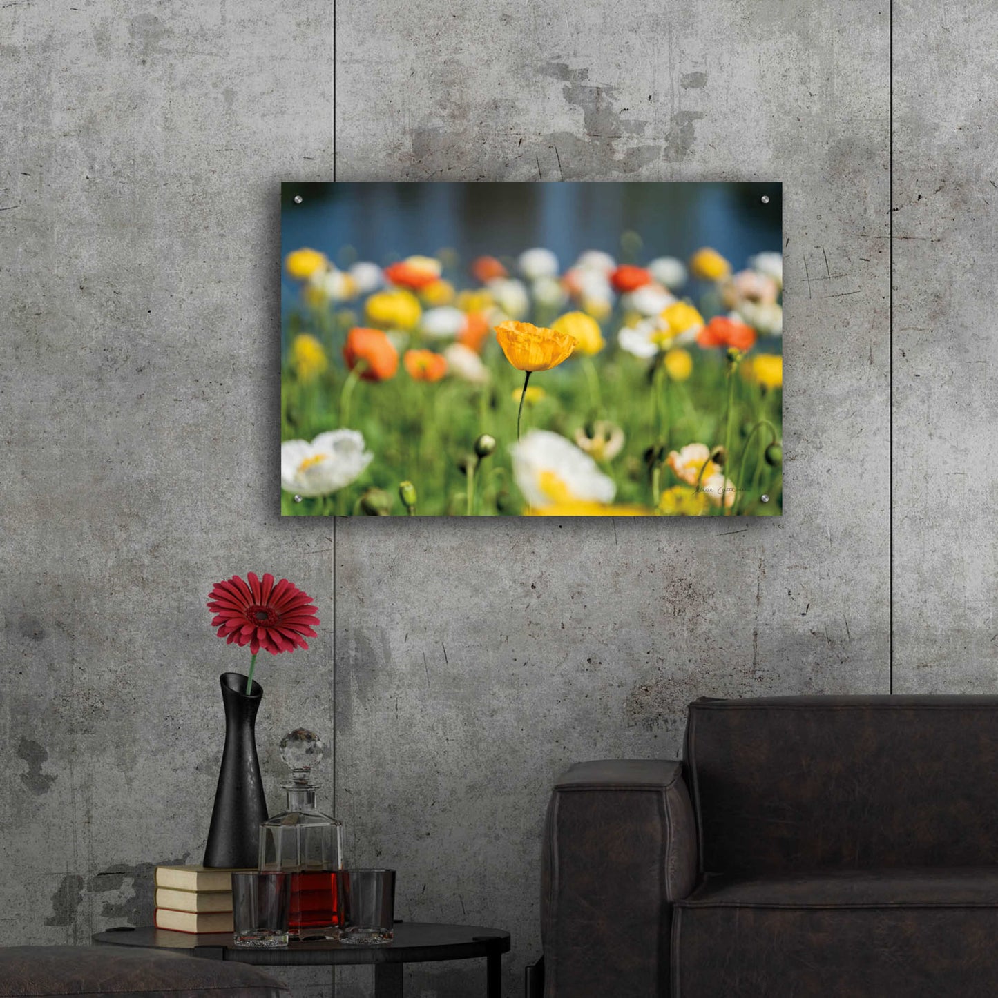 Epic Art 'Poppy Field' by Elise Catterall, Acrylic Glass Wall Art,36x24