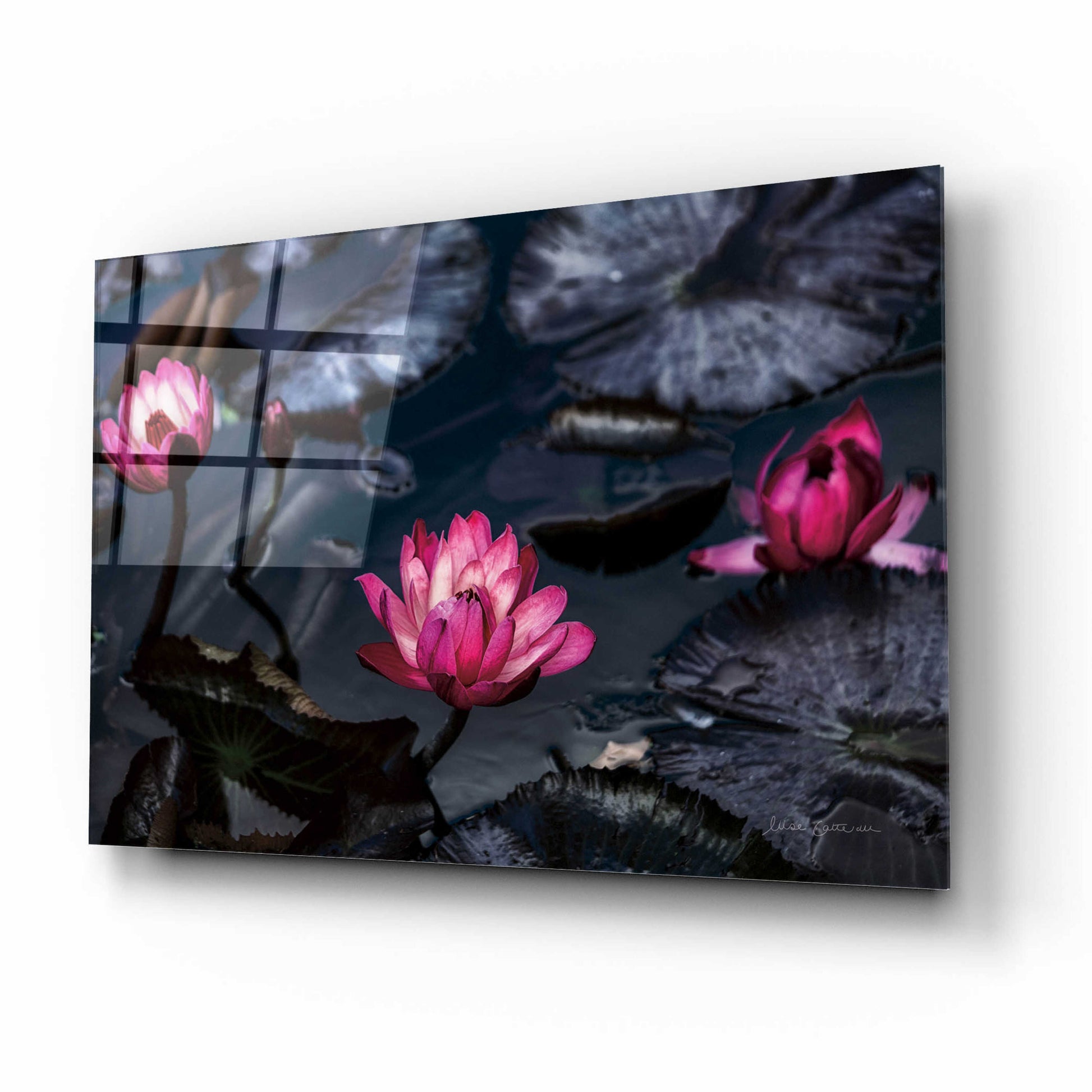 Epic Art 'Waterlilies' by Elise Catterall, Acrylic Glass Wall Art,16x12