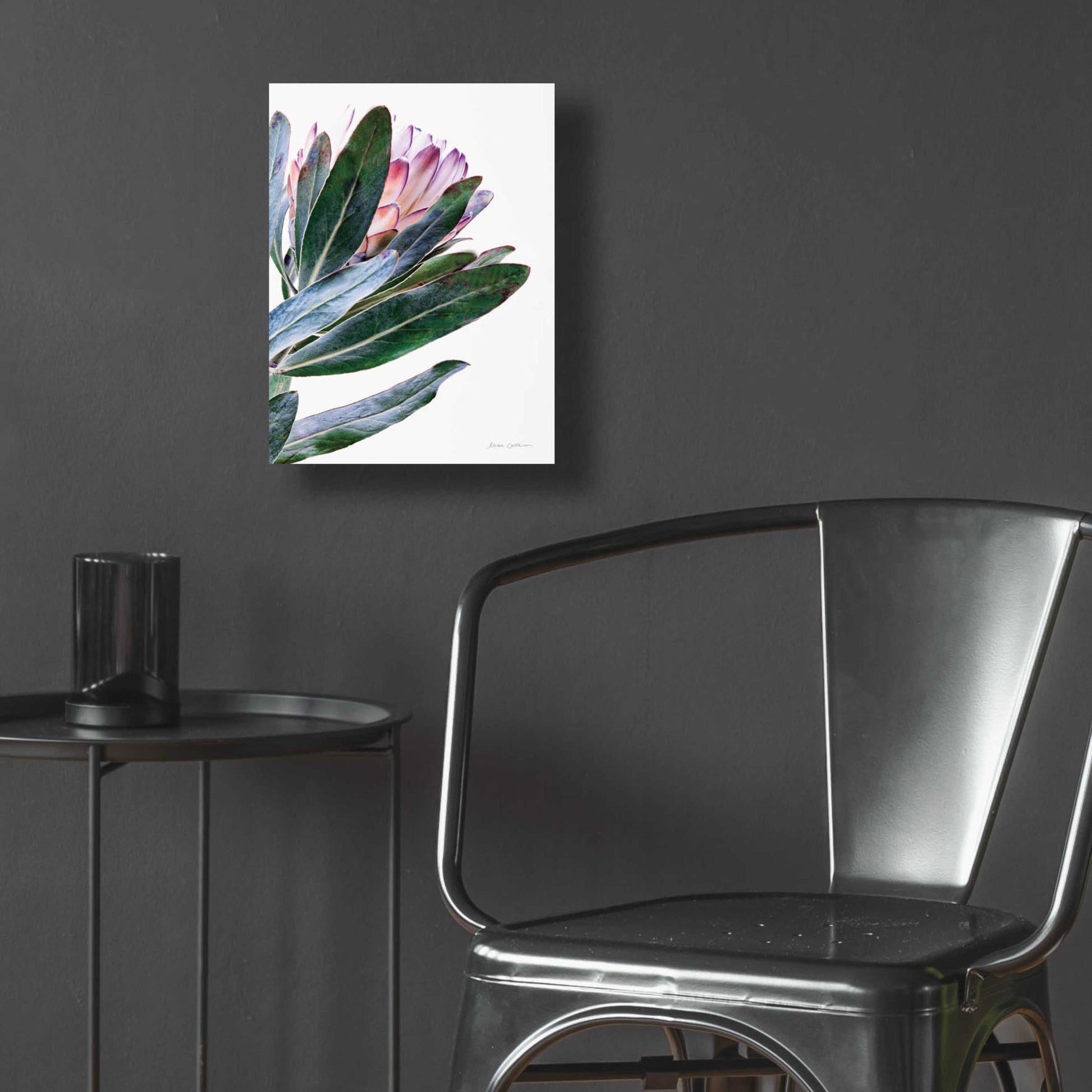 Epic Art 'Protea in Leaf' by Elise Catterall, Acrylic Glass Wall Art,12x16