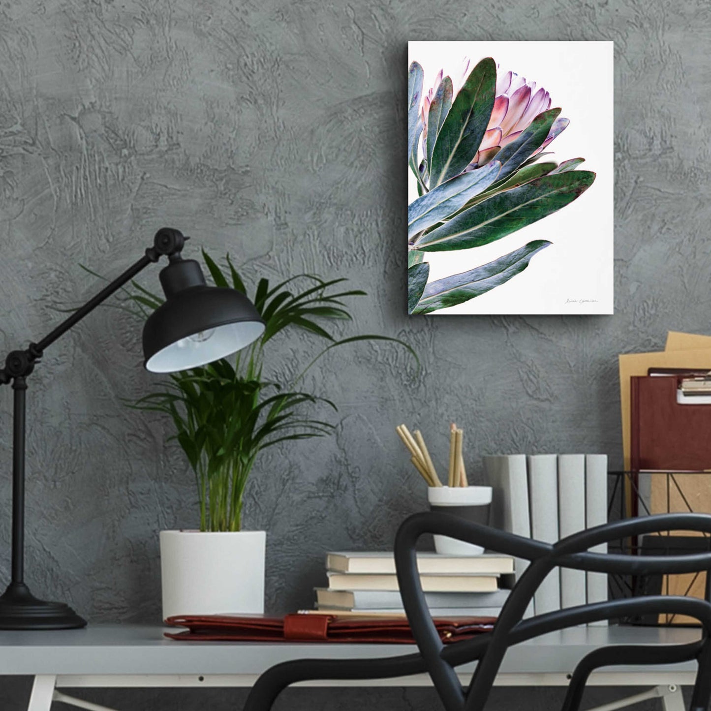 Epic Art 'Protea in Leaf' by Elise Catterall, Acrylic Glass Wall Art,12x16